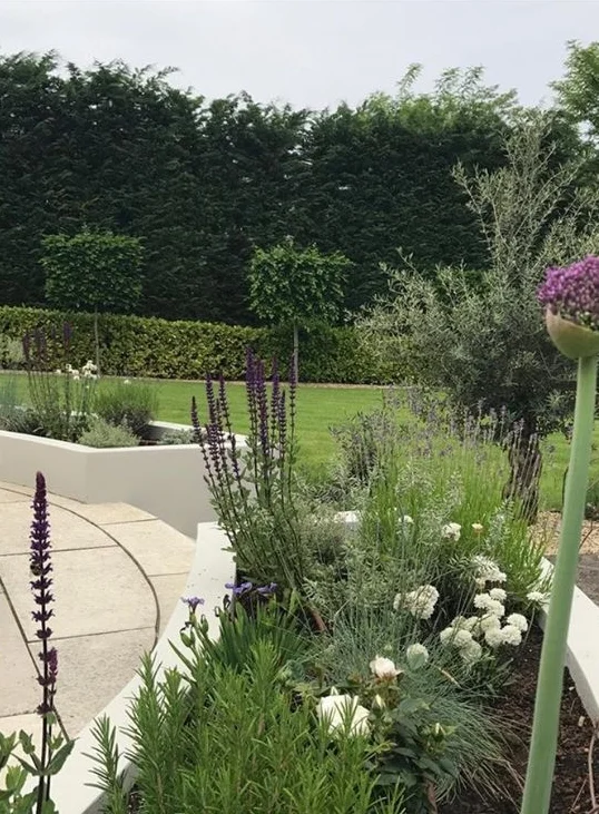 SP Garden.jpg