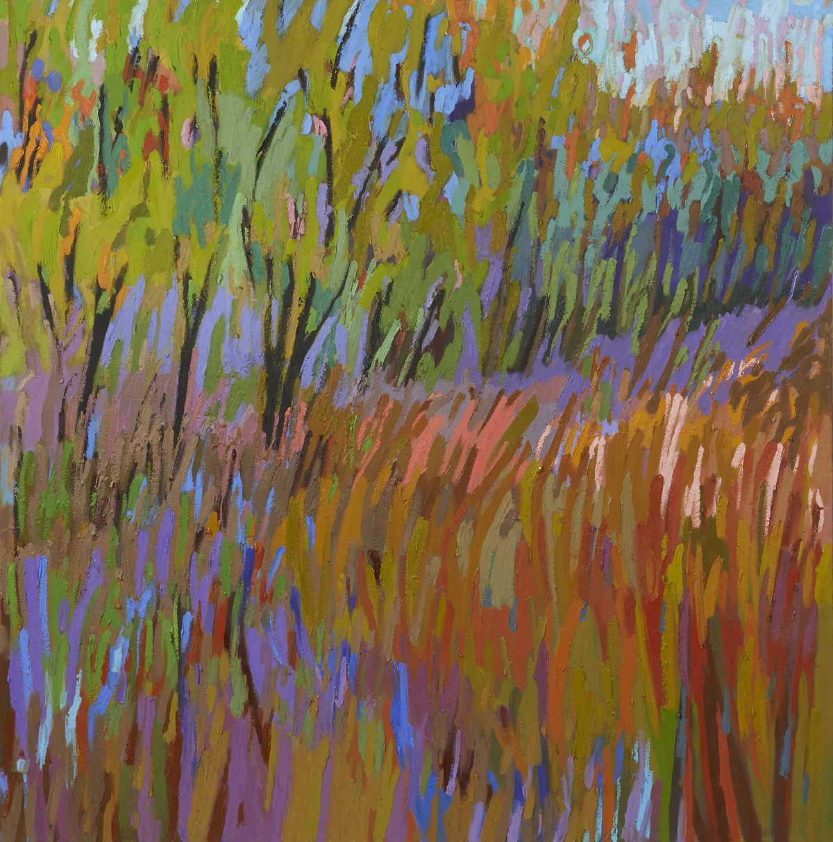 PASTORAL XVII