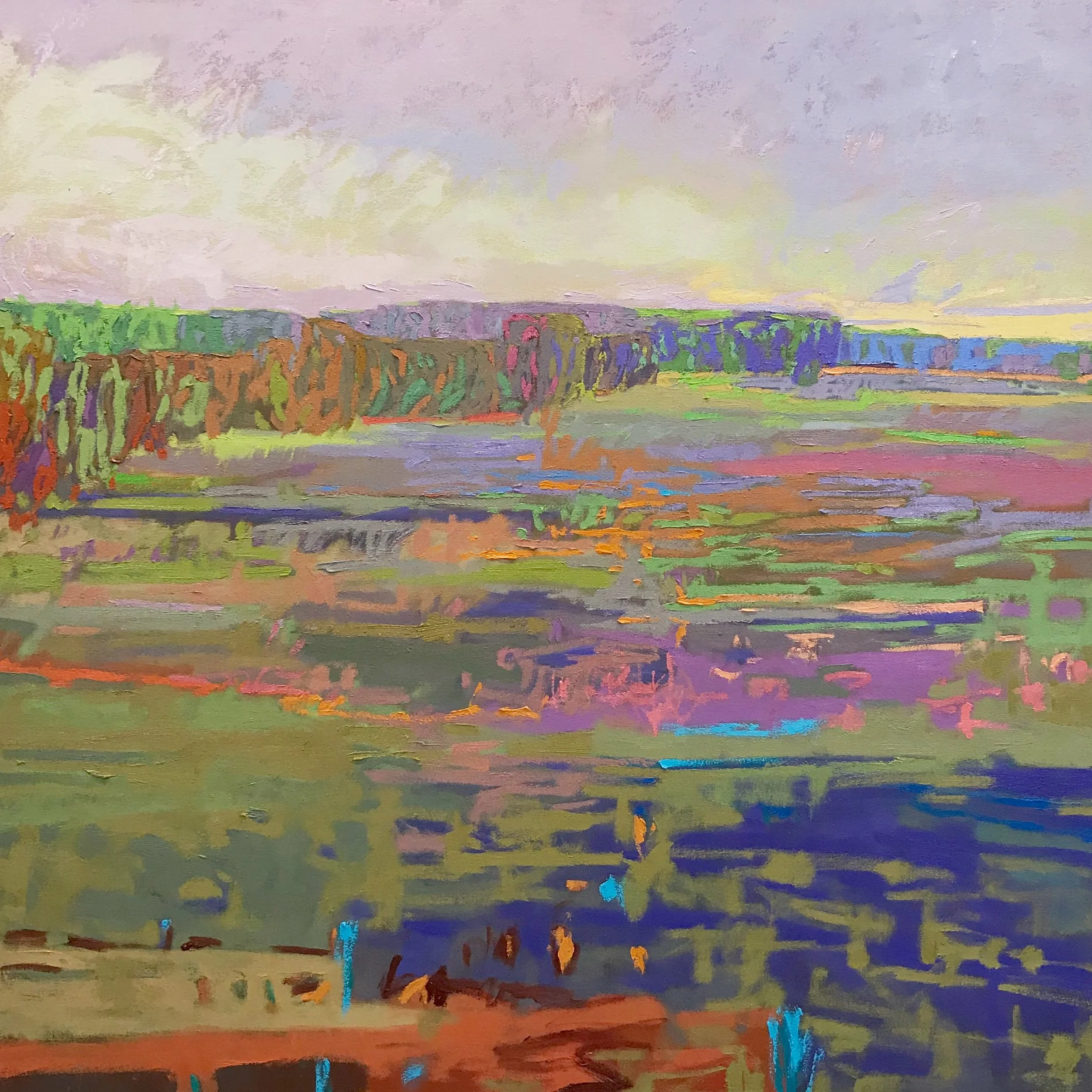 COLOR FIELD #24