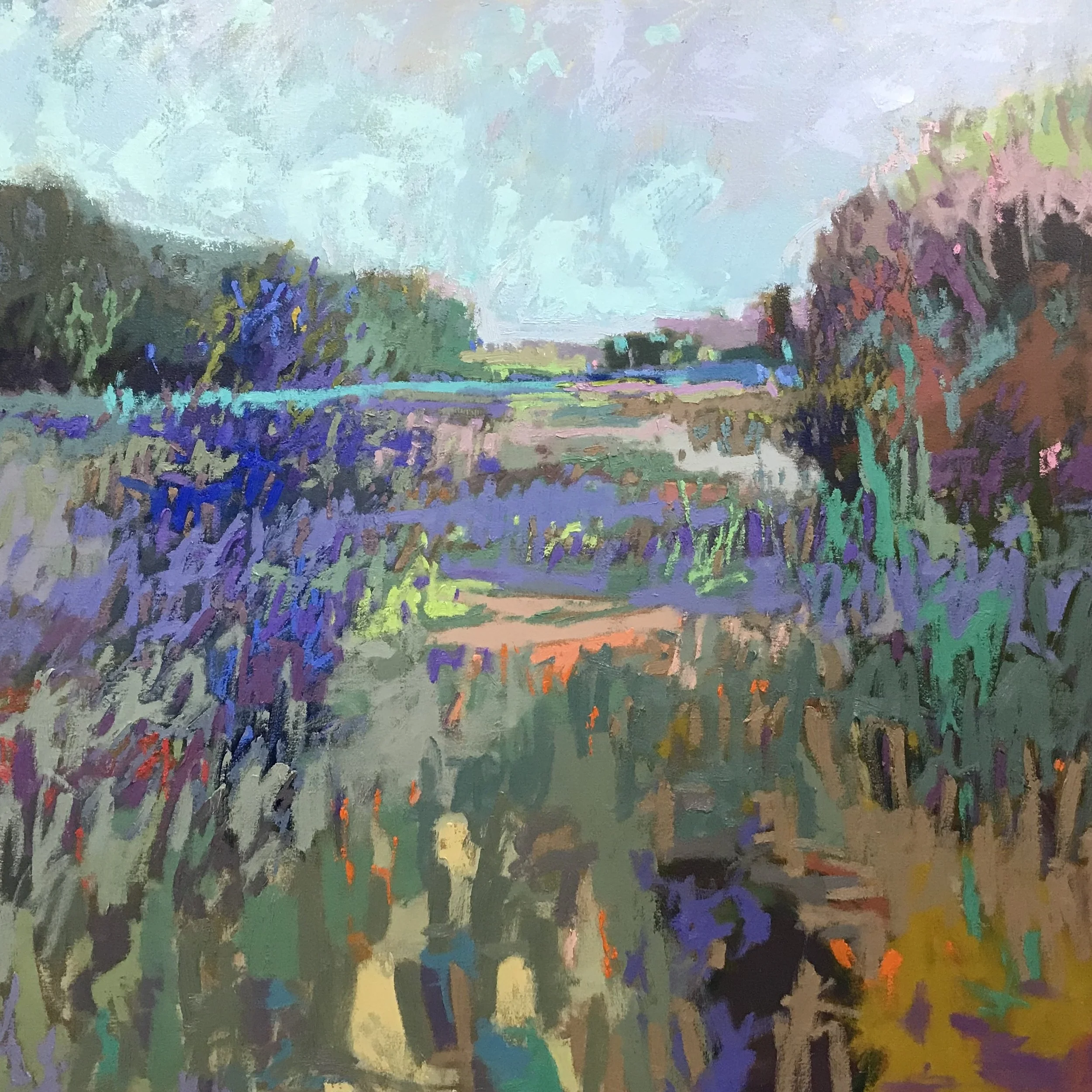 COLOR FIELD #45