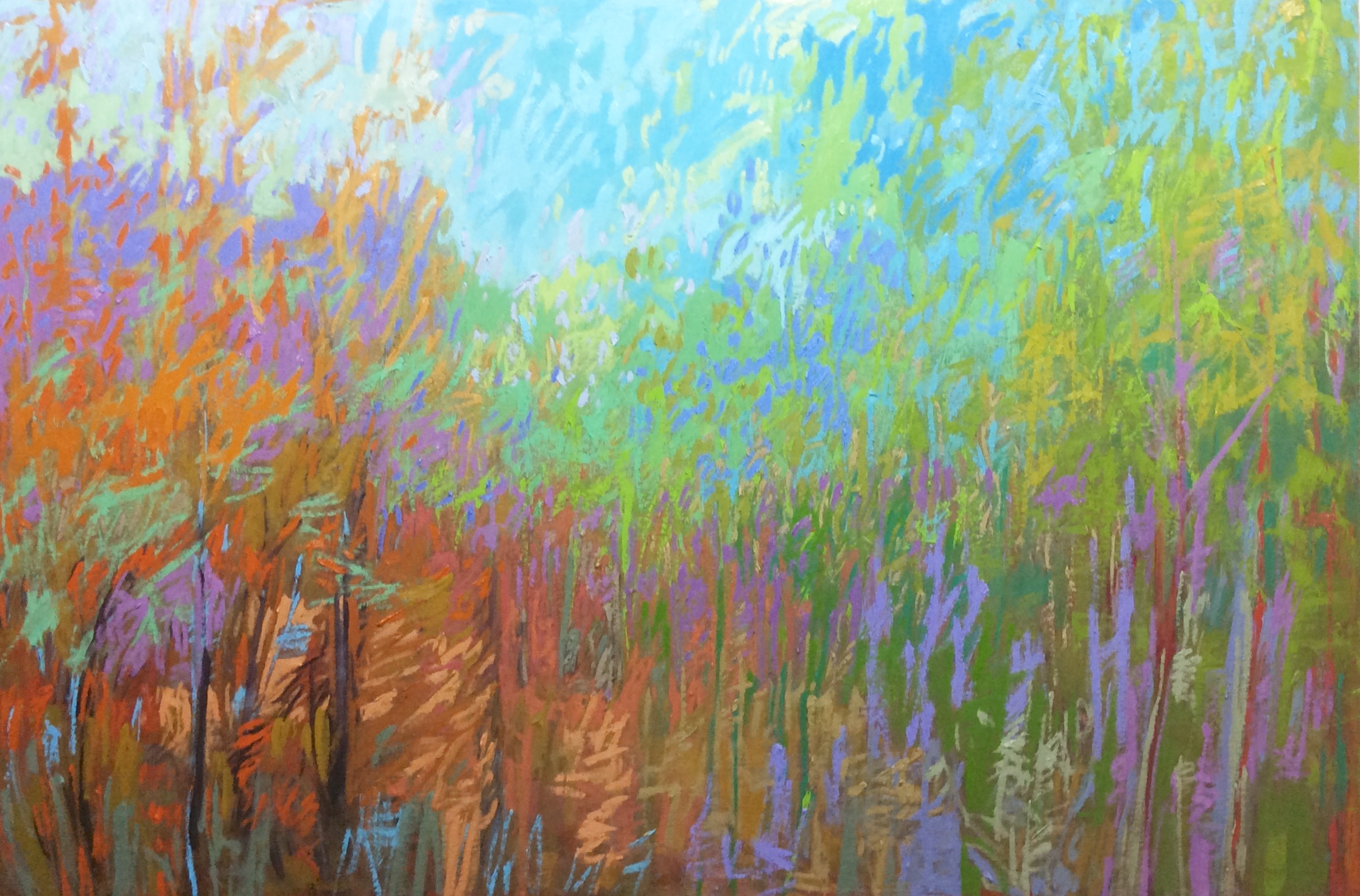COLOR FIELD #55
