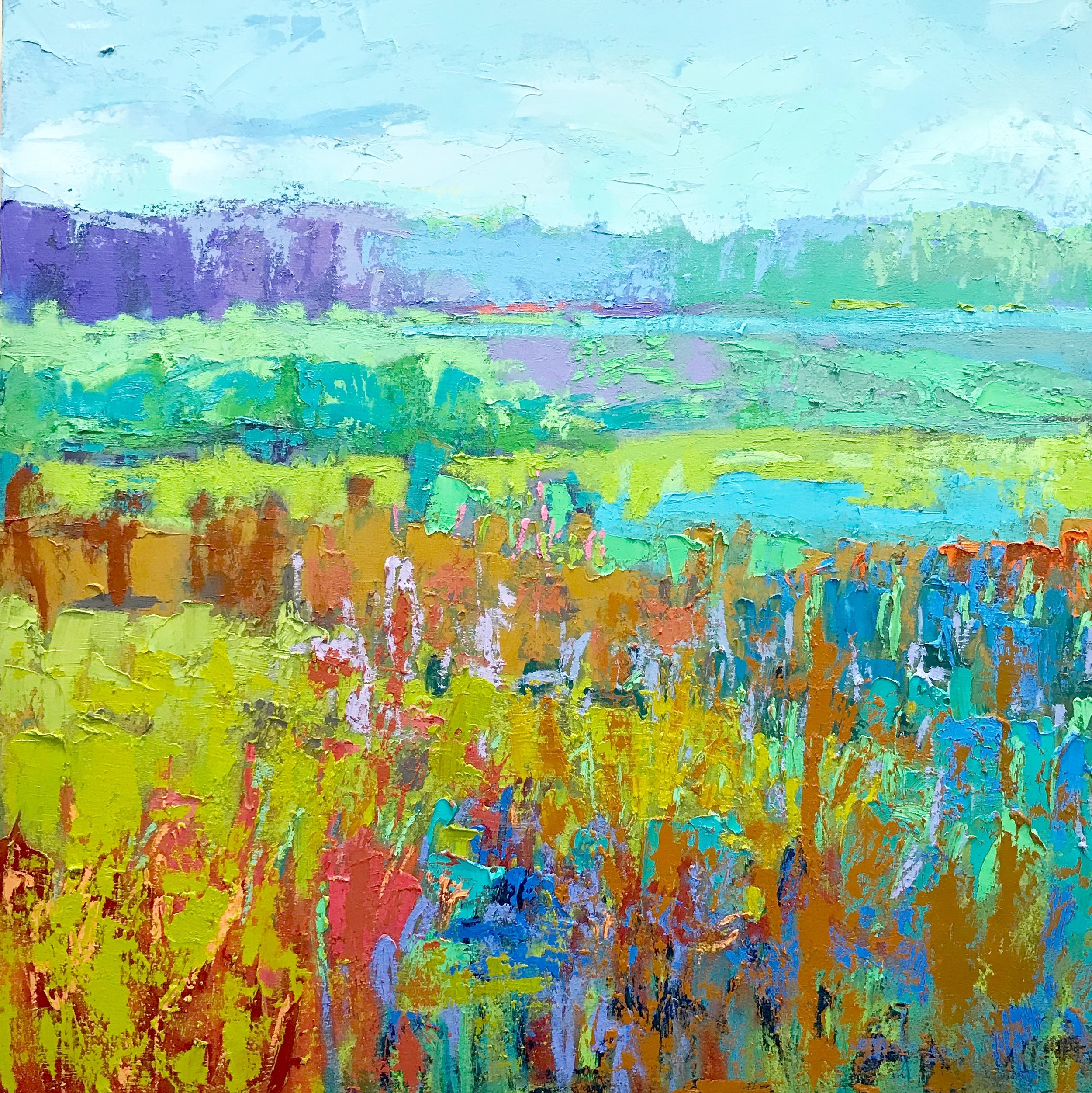 EVER CHANGING MEADOW