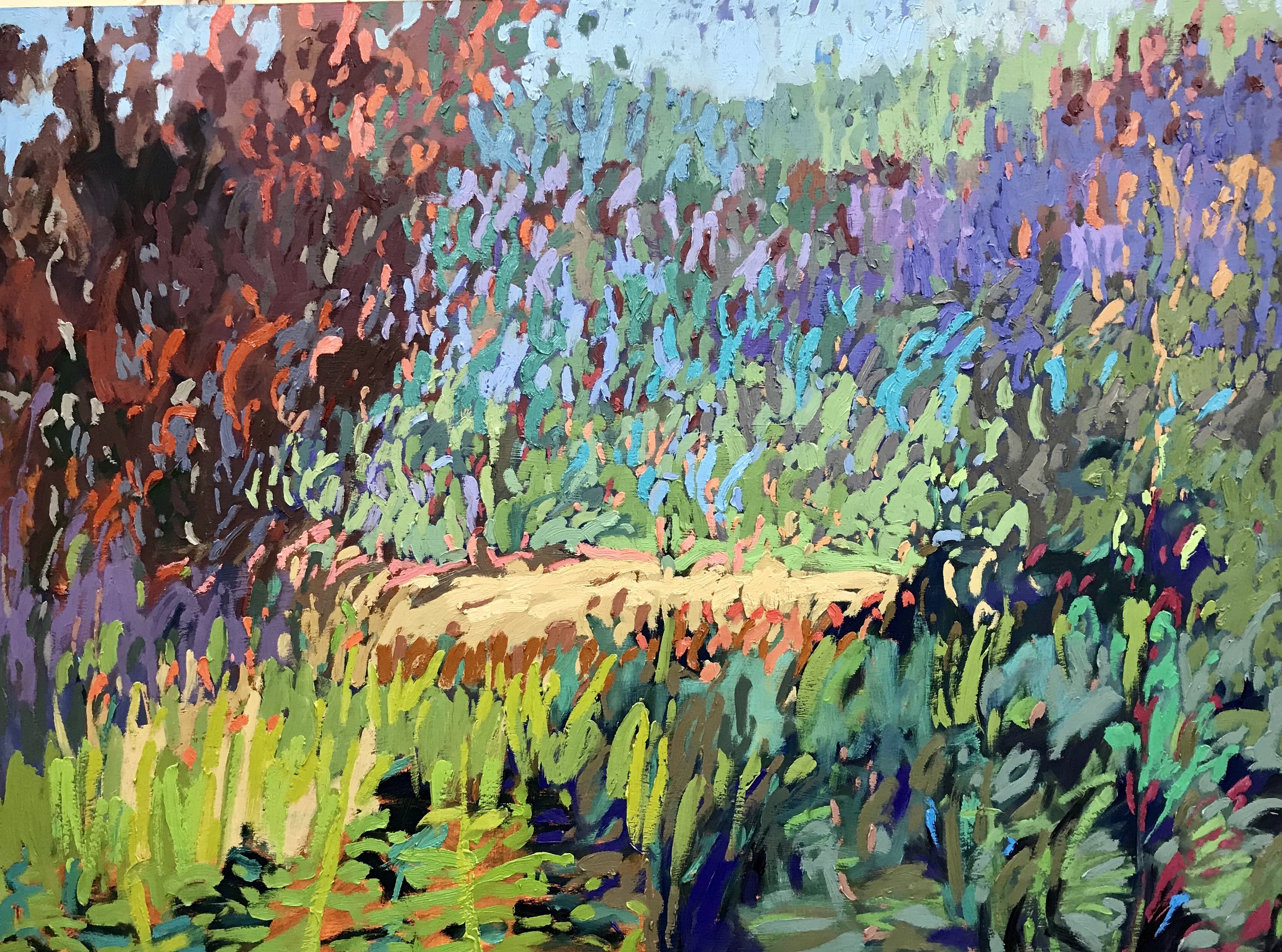 COLOR FIELD #72