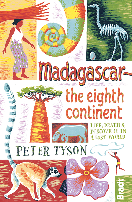 Madagascar-8th-Cont#2DFEB8E.png