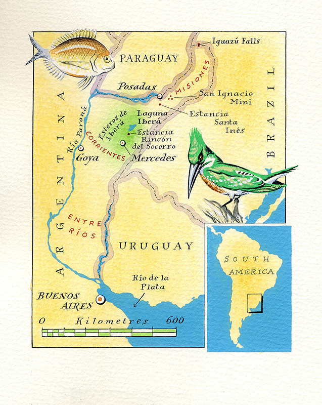 NE-Argentina---Traveller-(London).png