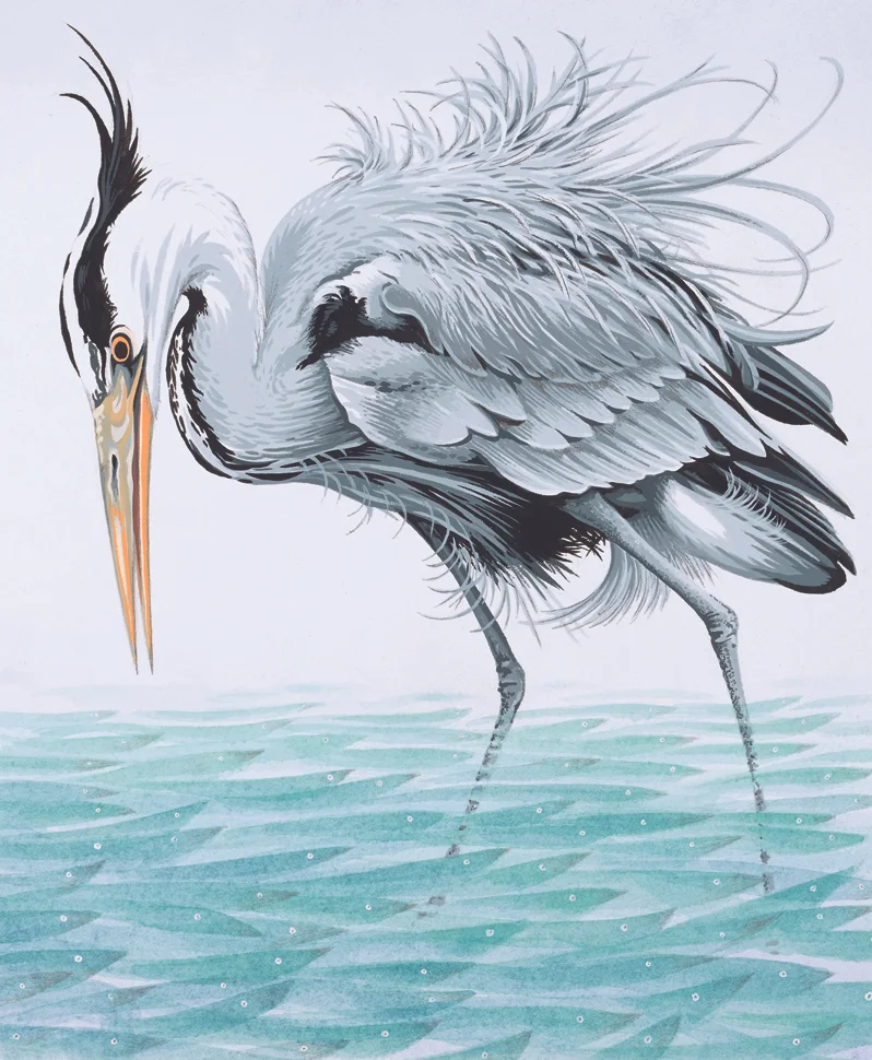 Heron_V2(L).jpg