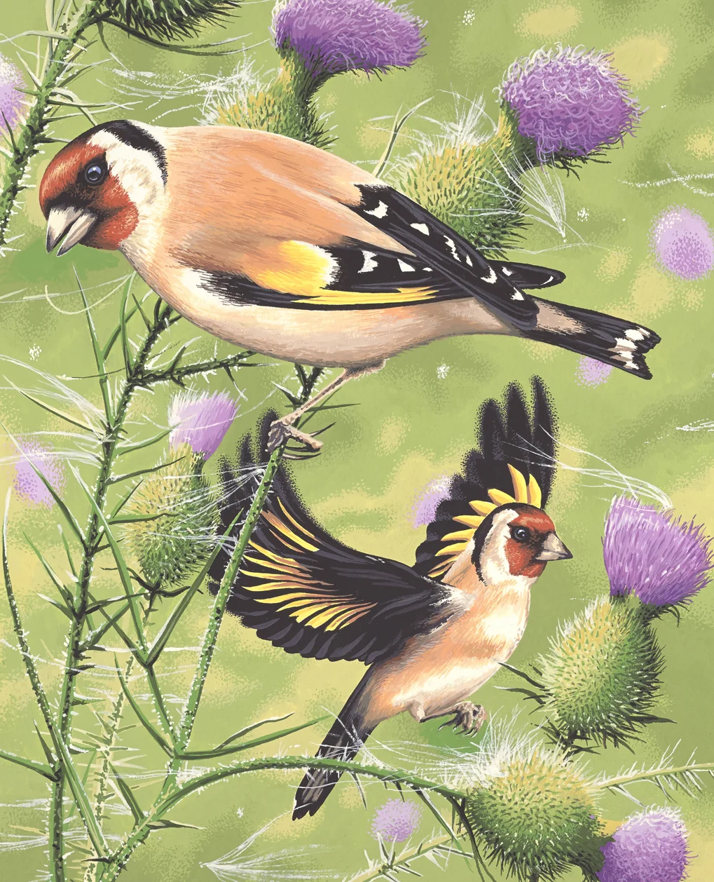 Goldfinch_V2(L).jpg