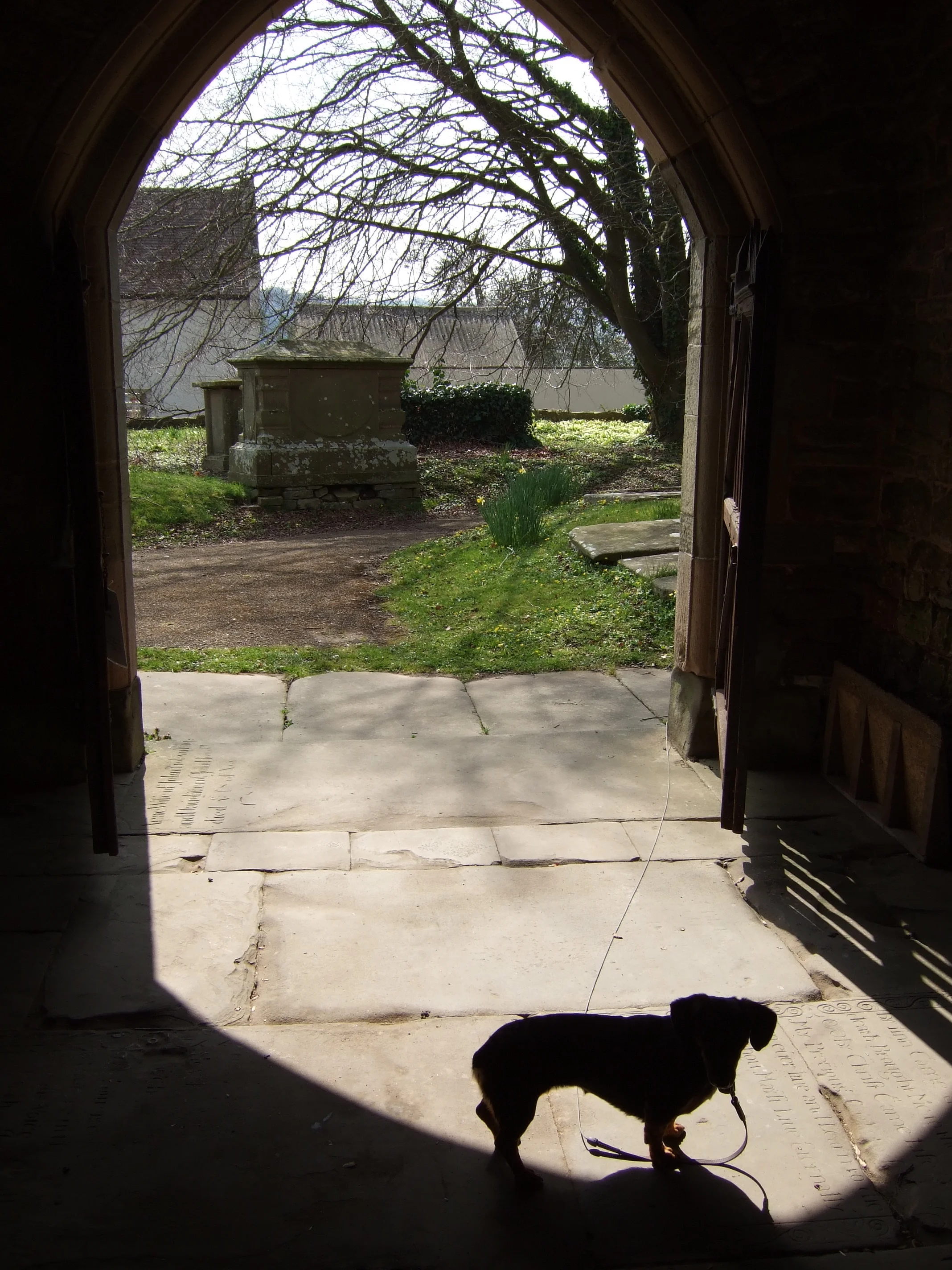 DSCF0322.JPG