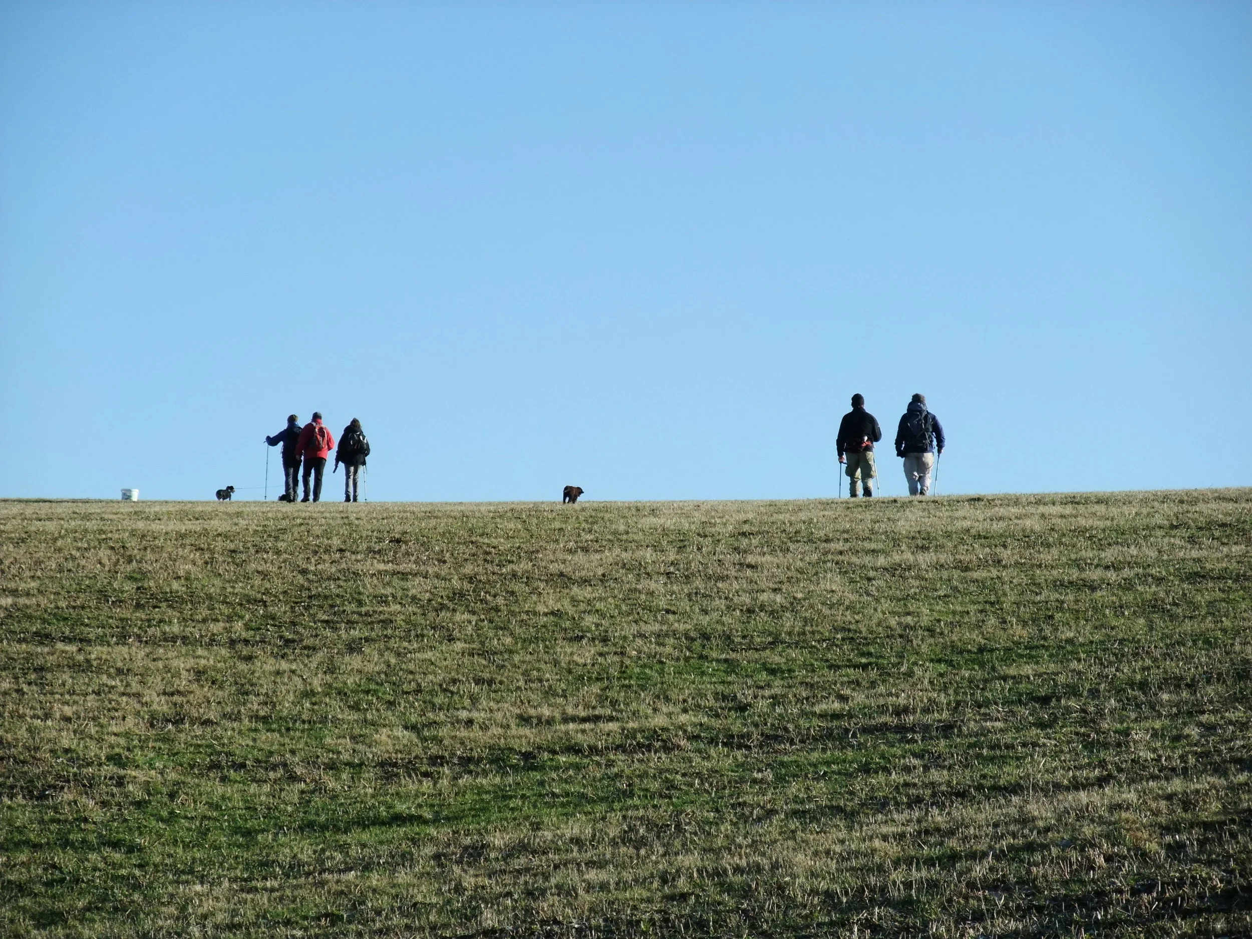 DSCF1136.JPG