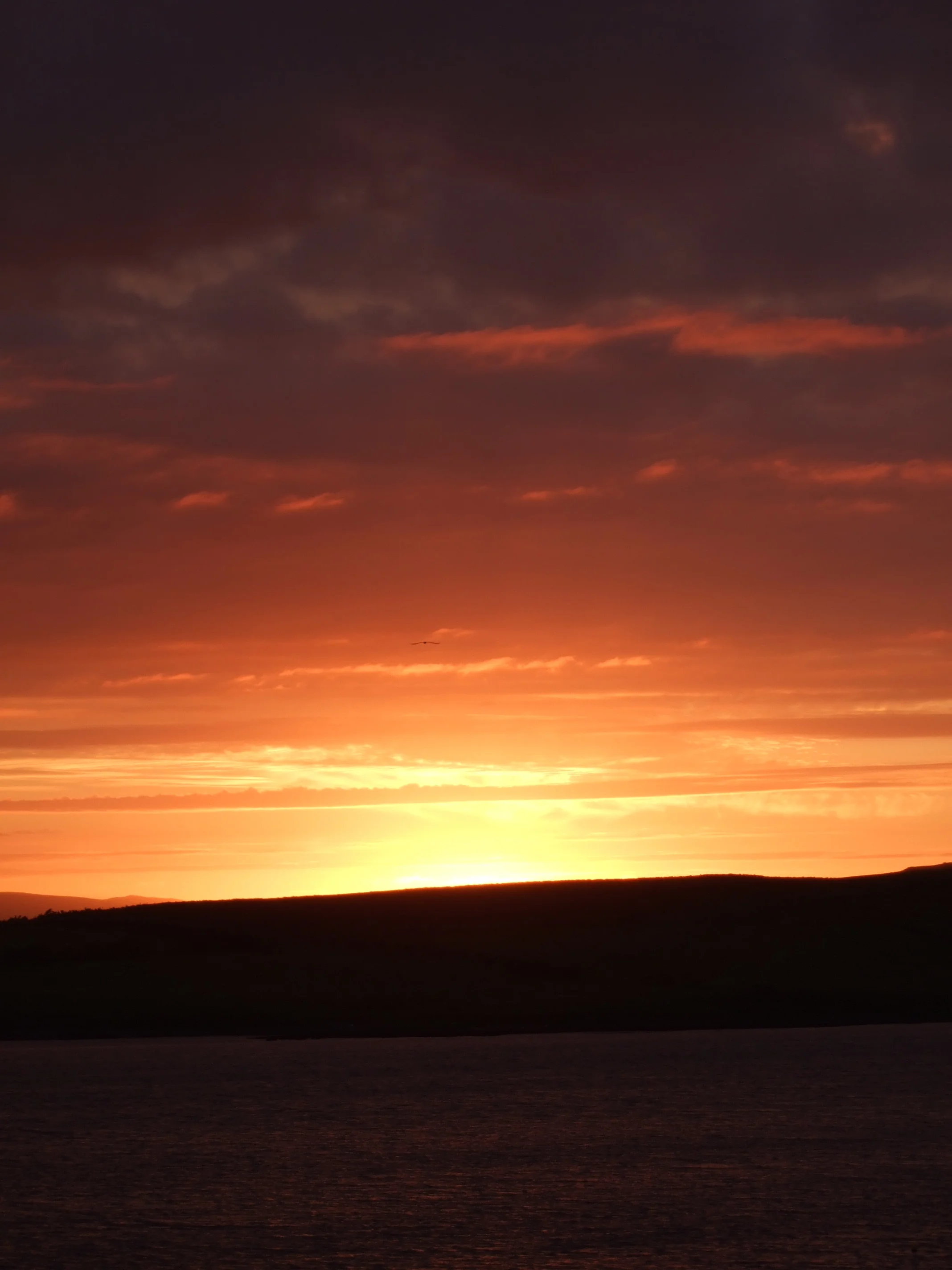 DSCF0759.JPG