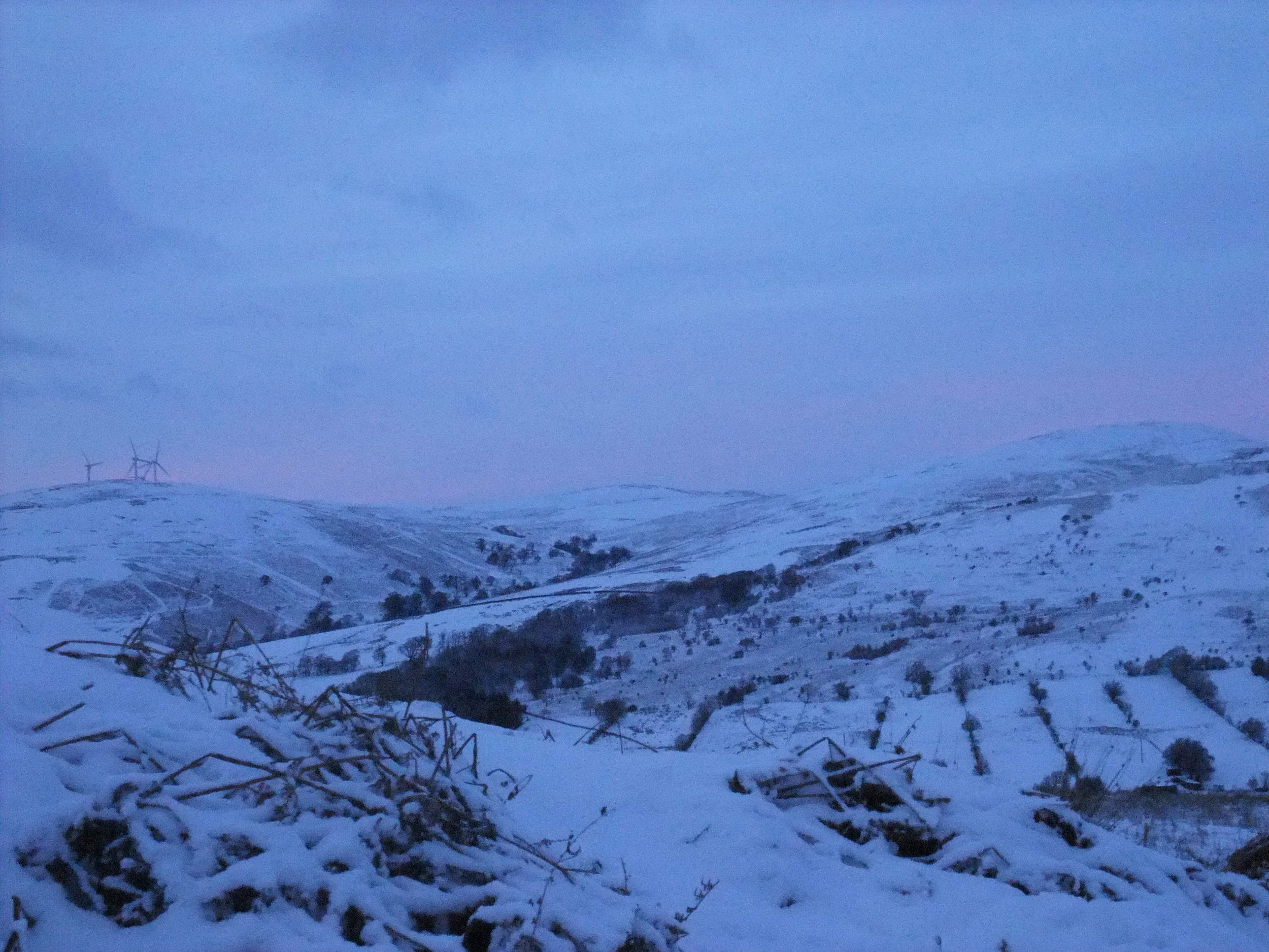 DSCF1032.JPG