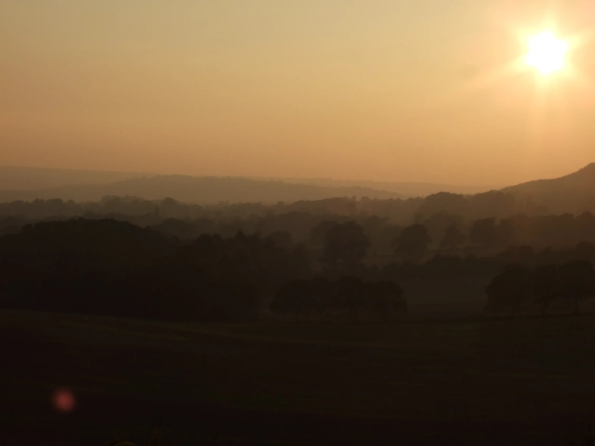 DSCF2226.JPG