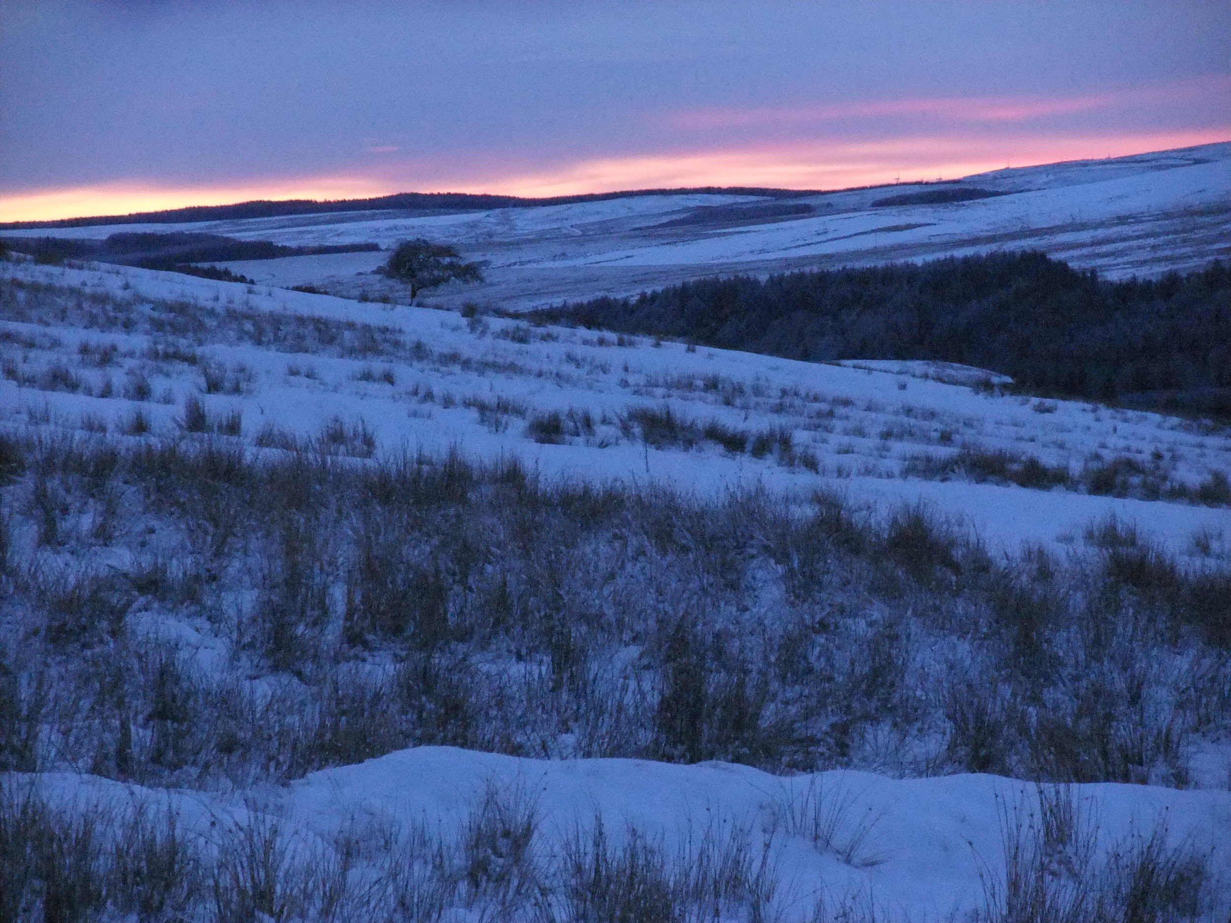 DSCF1038.JPG