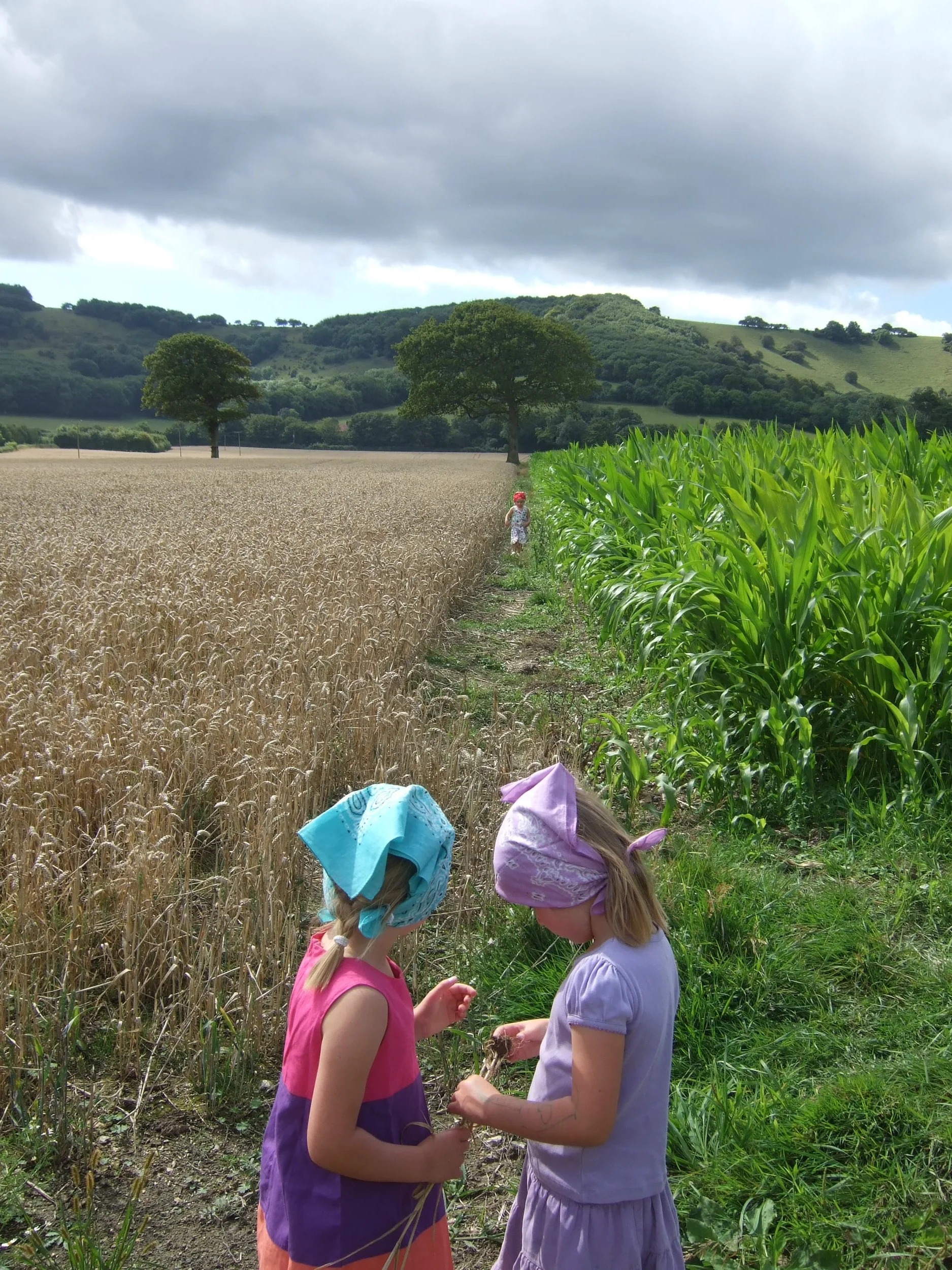 Import Sep 2014 168.JPG