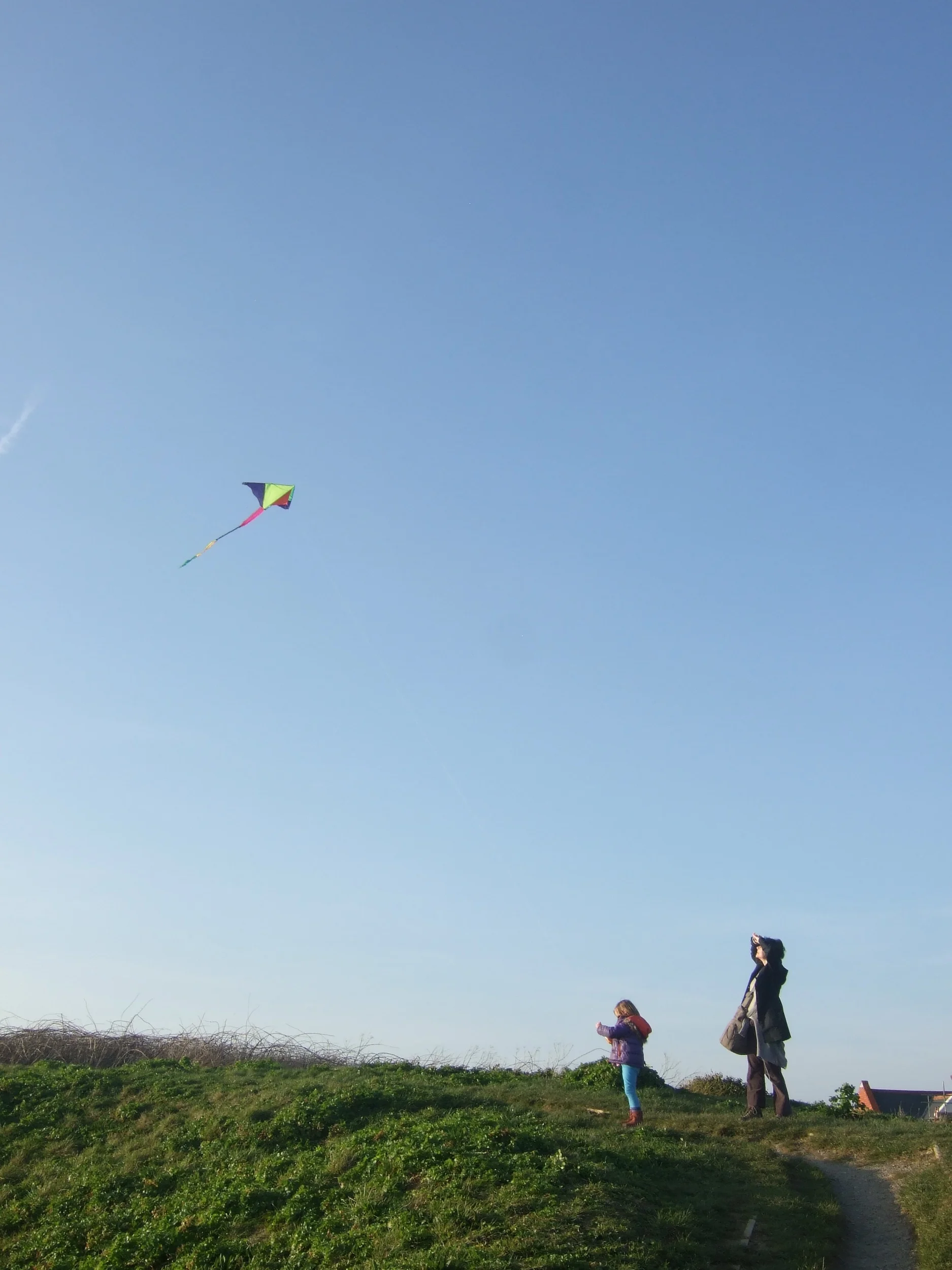 back up July 2014 057.JPG