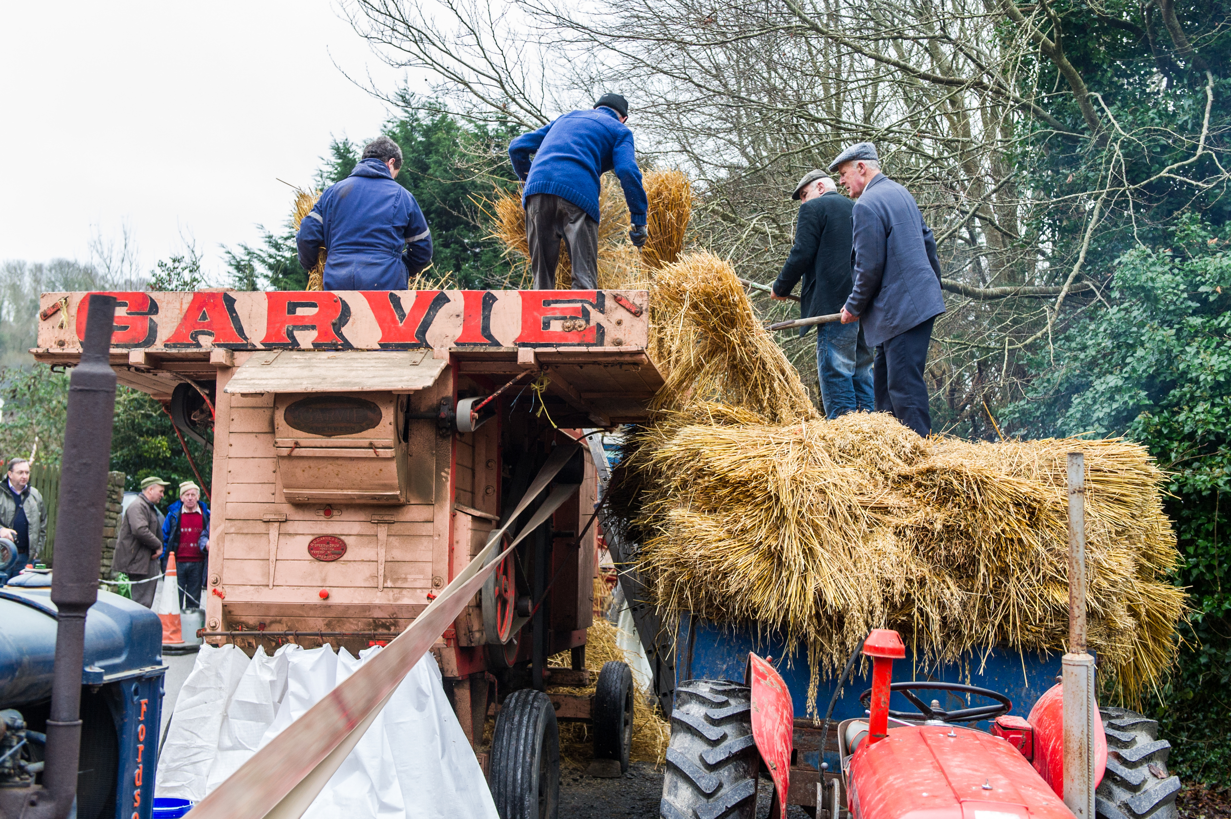 The wheat is placed into the threshing machine. Nikon D3s, 24-70 f2.8. 1/160, f4.5, ISO 1000.