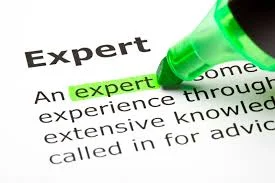 What Makes Me an Expert on Writing?