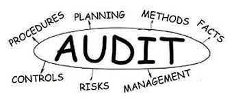 INTRODUCTION:  Can any auditor write well enough to develop a persuasive audit report?