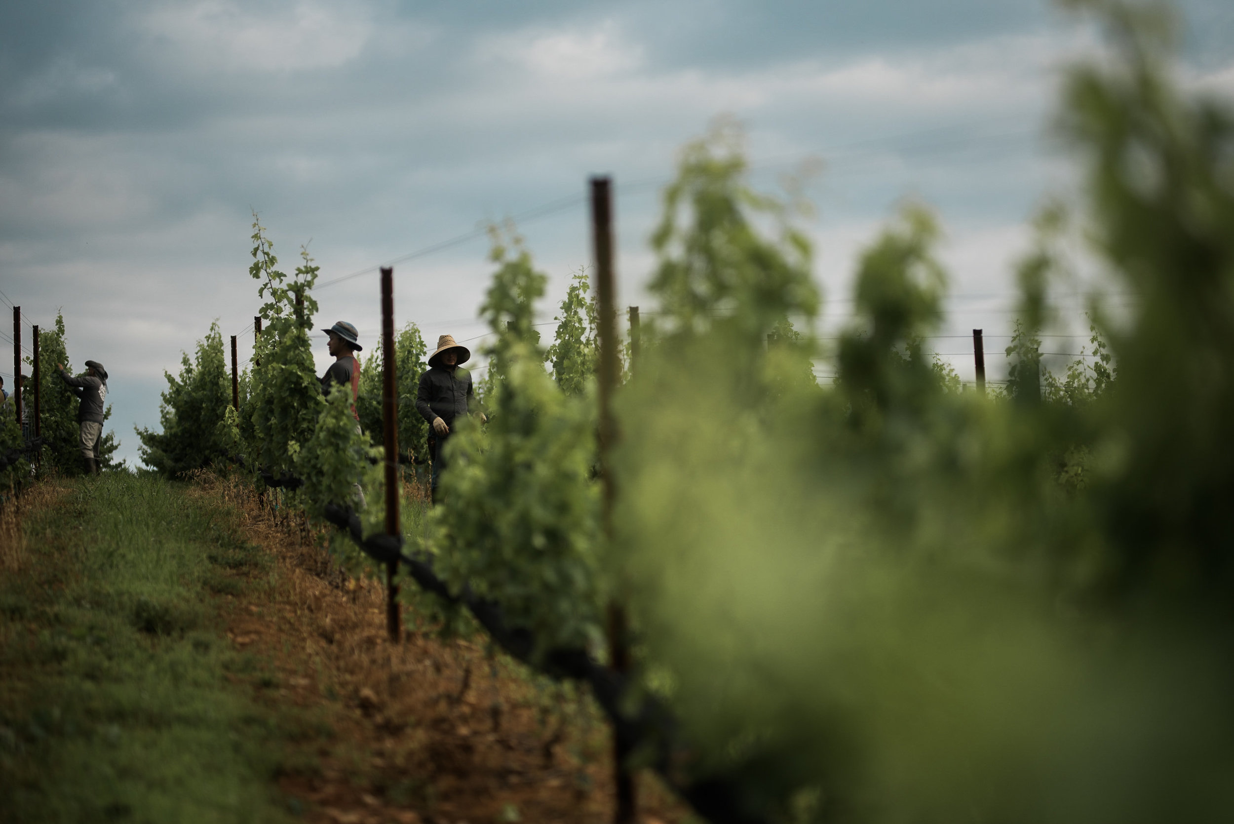 StoneTowerWineryCommercialPhotographerBakerturePhotoandVideo_-23.jpg