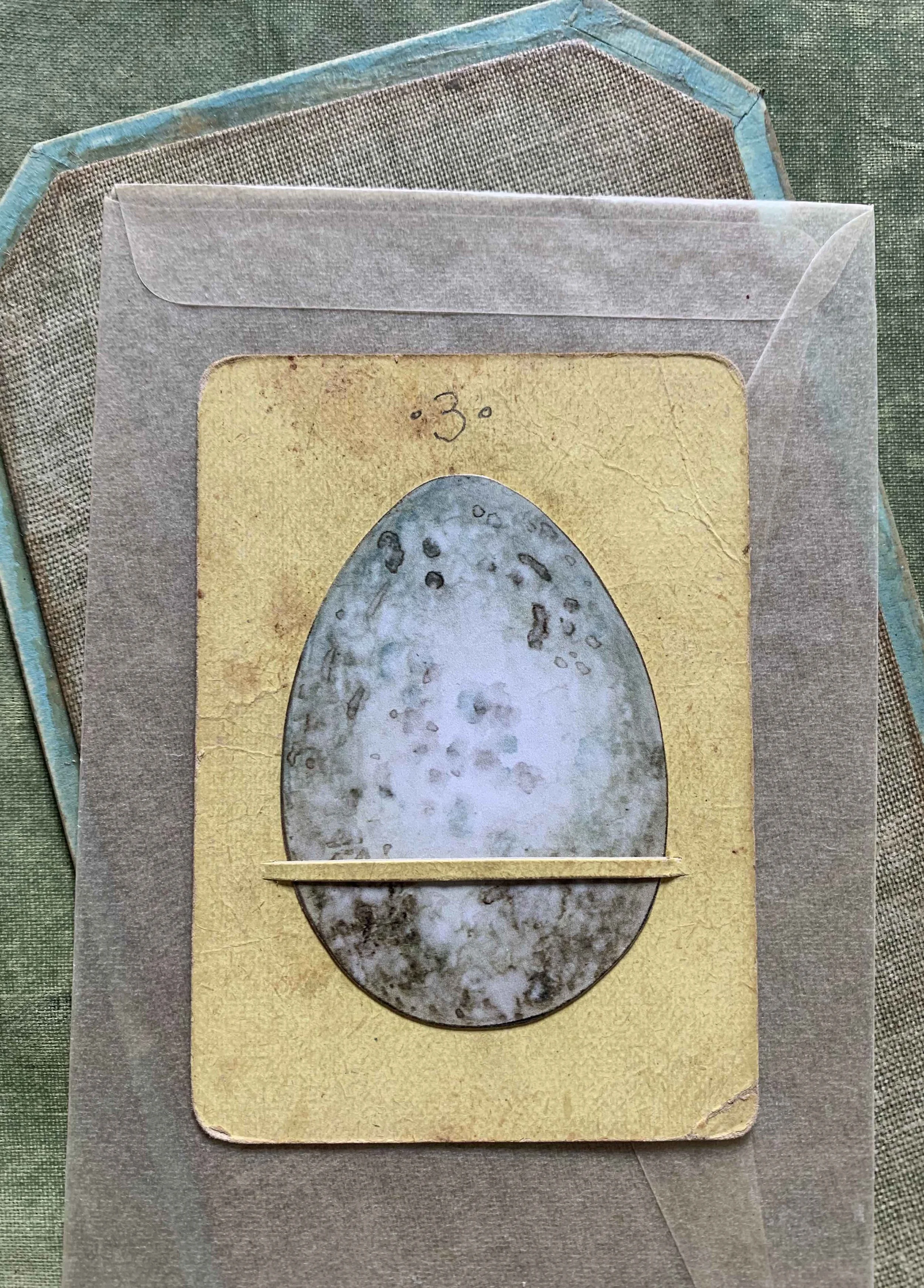 Egg-1.jpg