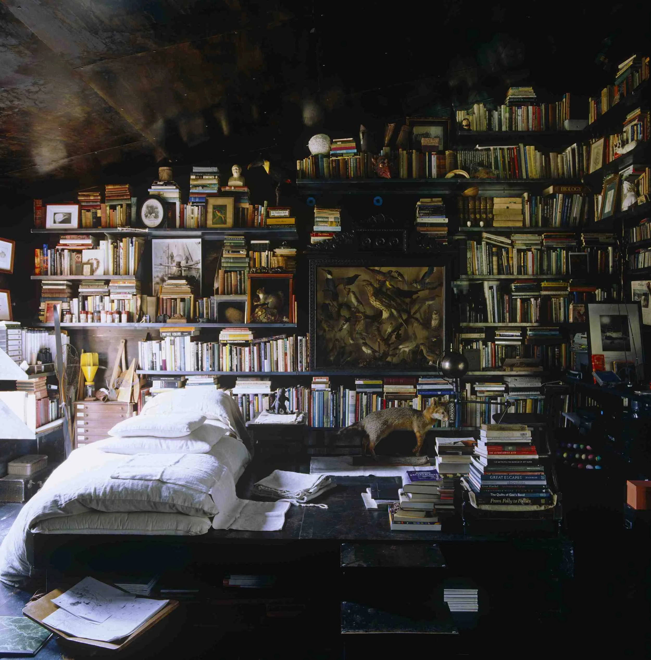 MLlibrary-rebecca-purcell.jpg