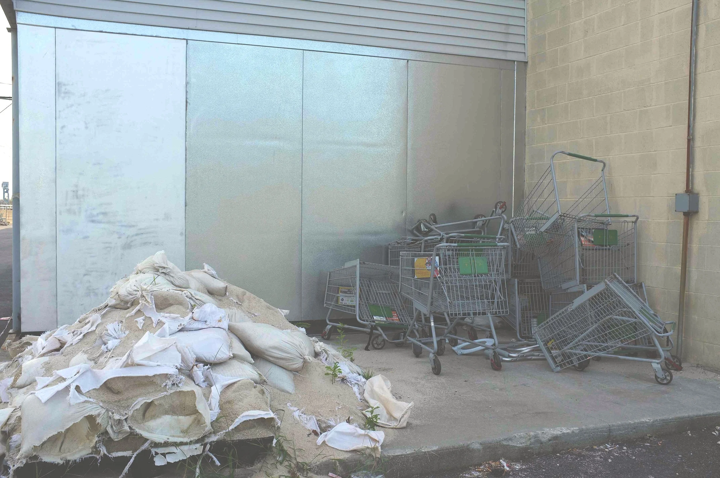 jeffrey-jenkins-carts.jpg