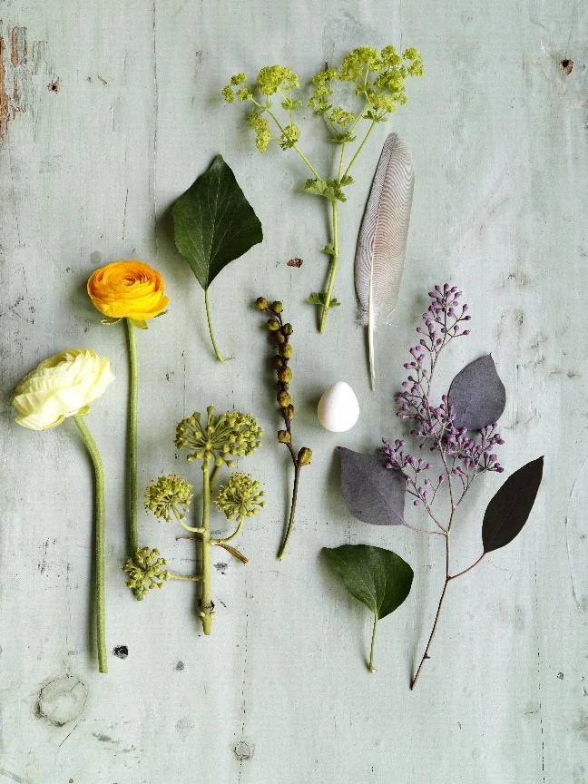 rebecca-purcell-natureglayout.jpg