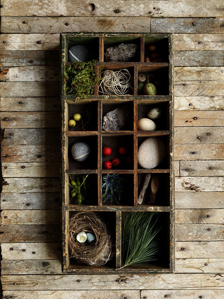 rebecca-purcell-naturegridbox.jpg