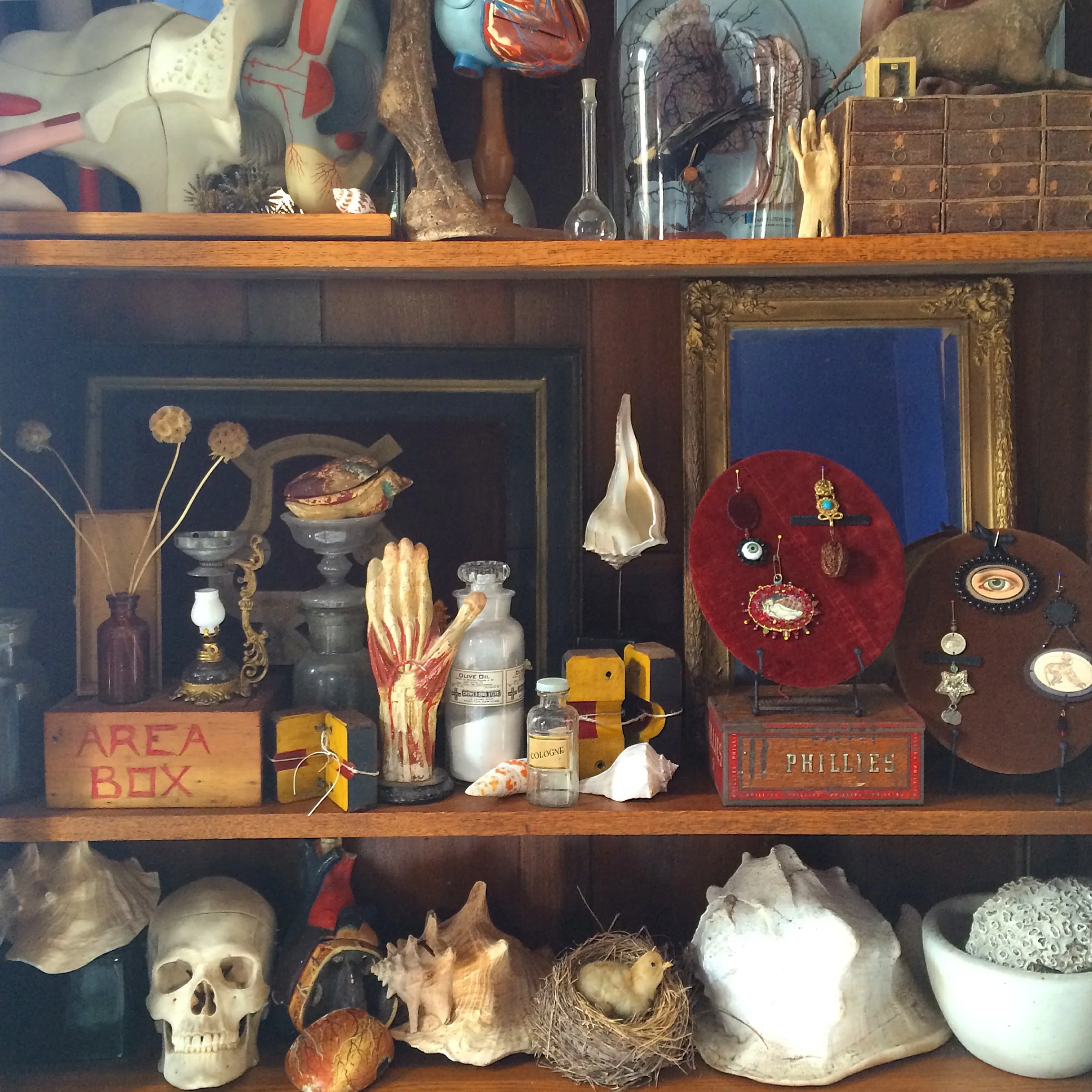 rebecca-purcell-K&Kshelf.jpg