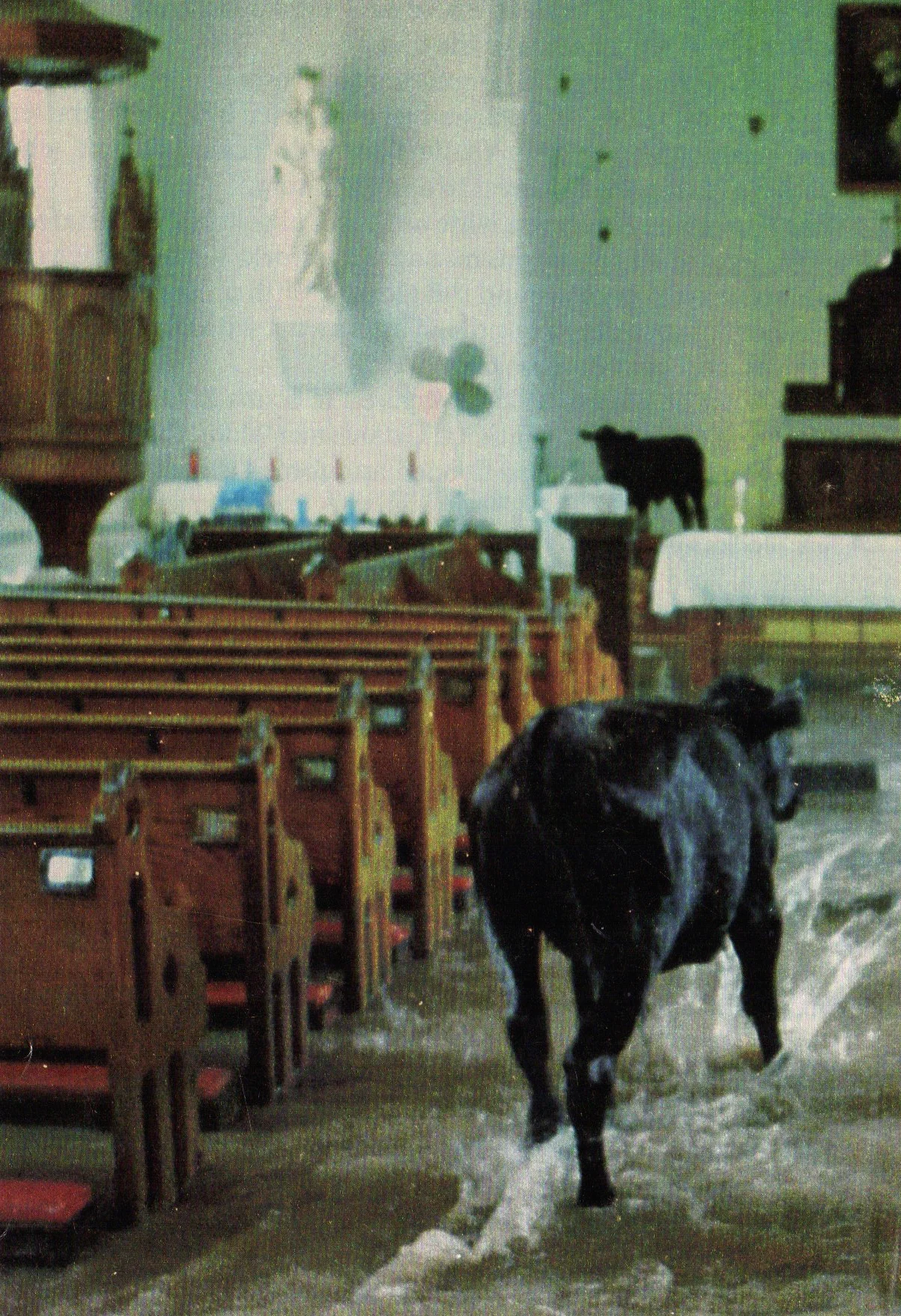  #13 bullsnchurch