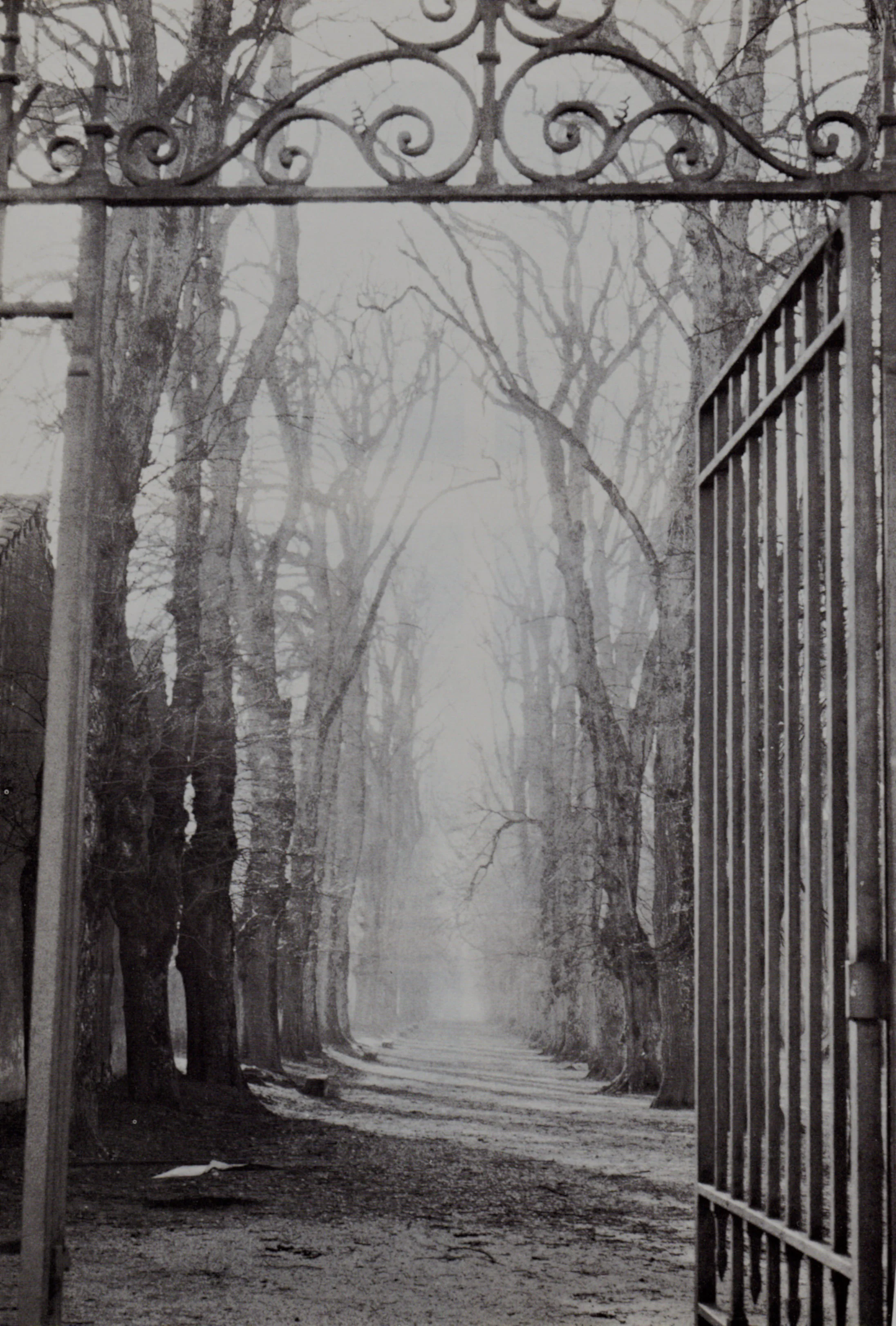 #12 Image archive