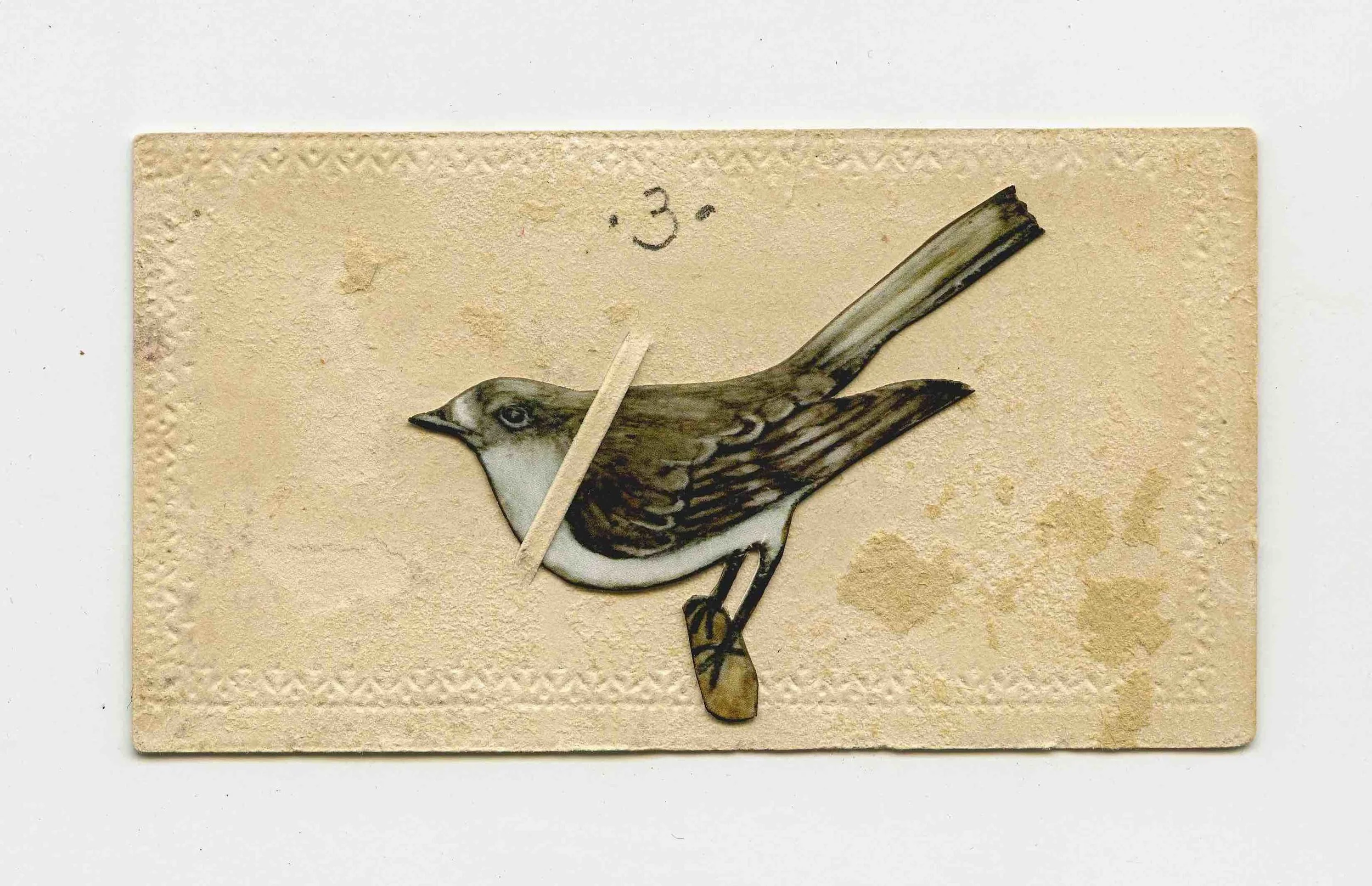 BrownBird.jpg