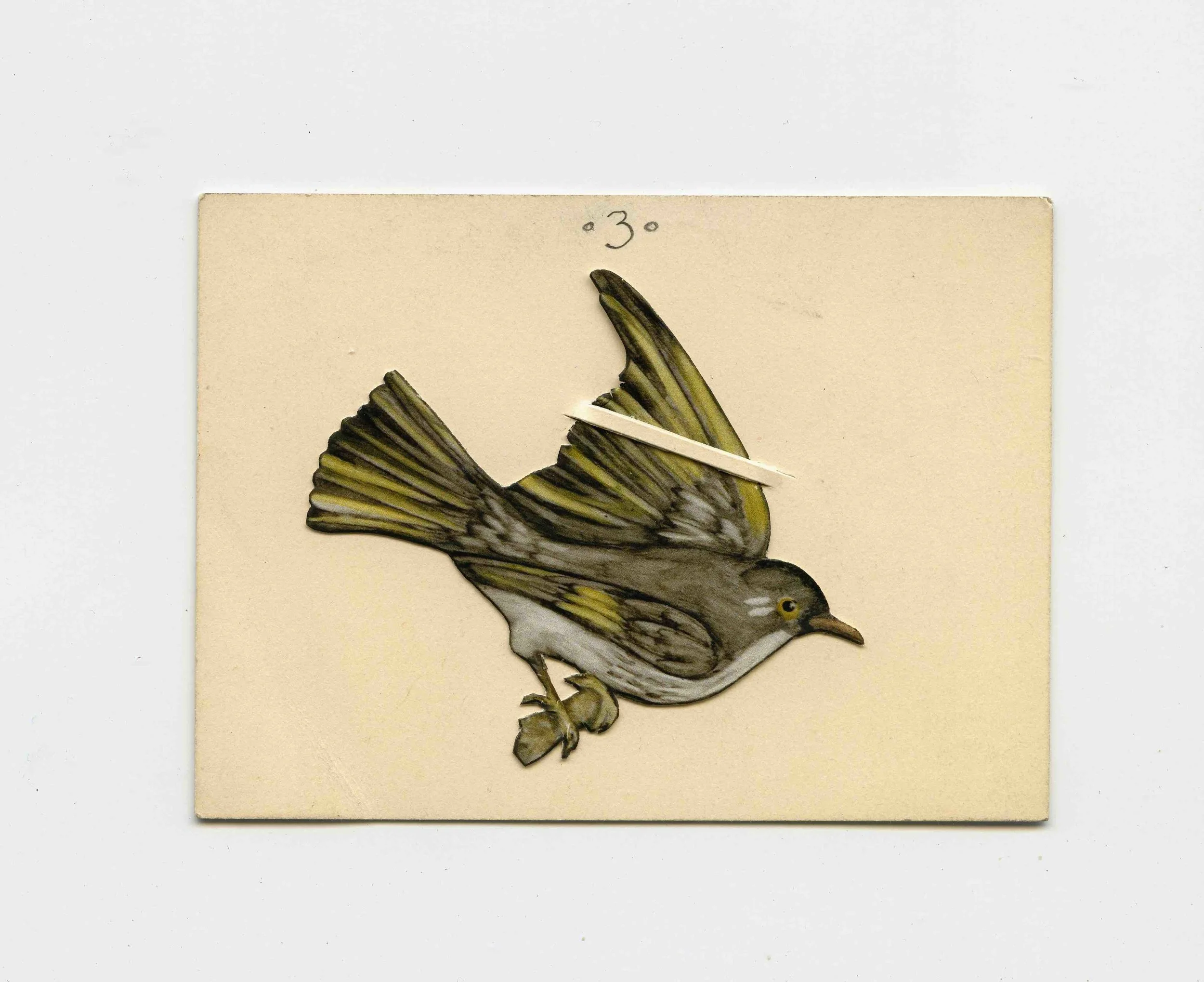 FlyingYellowBird.jpg