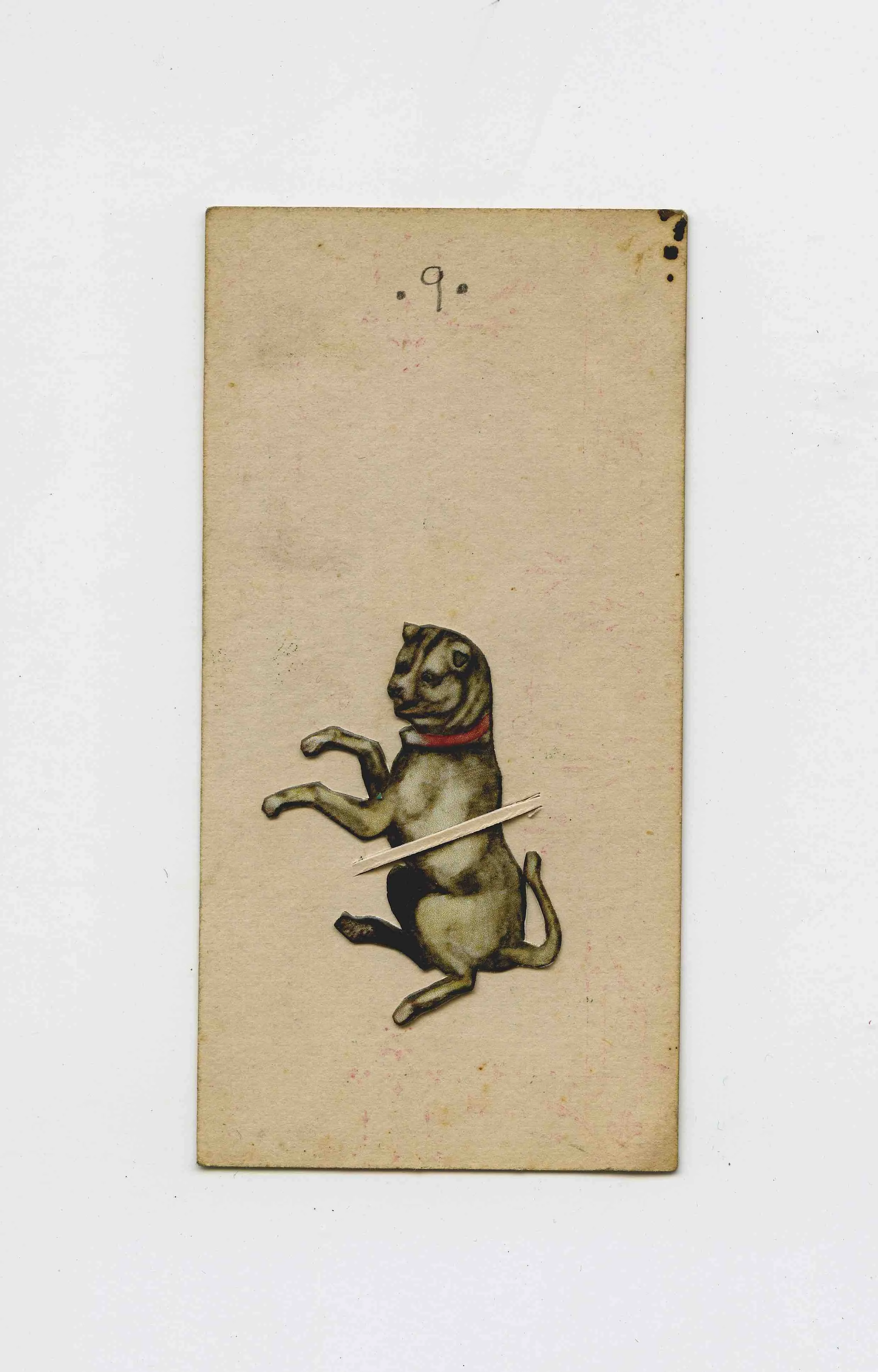 FriskyDog.jpg