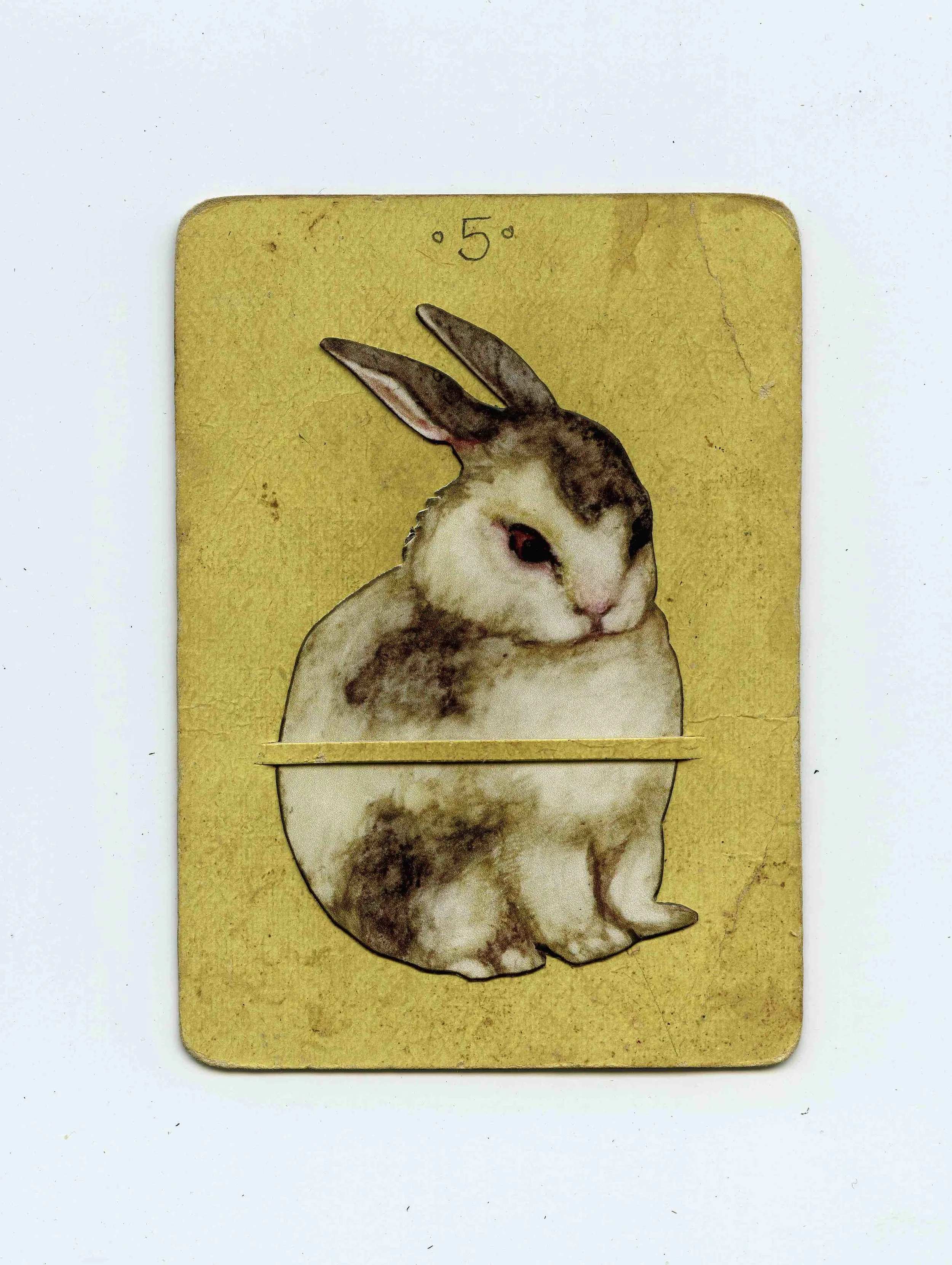 LargeBunnyonYellow.jpg