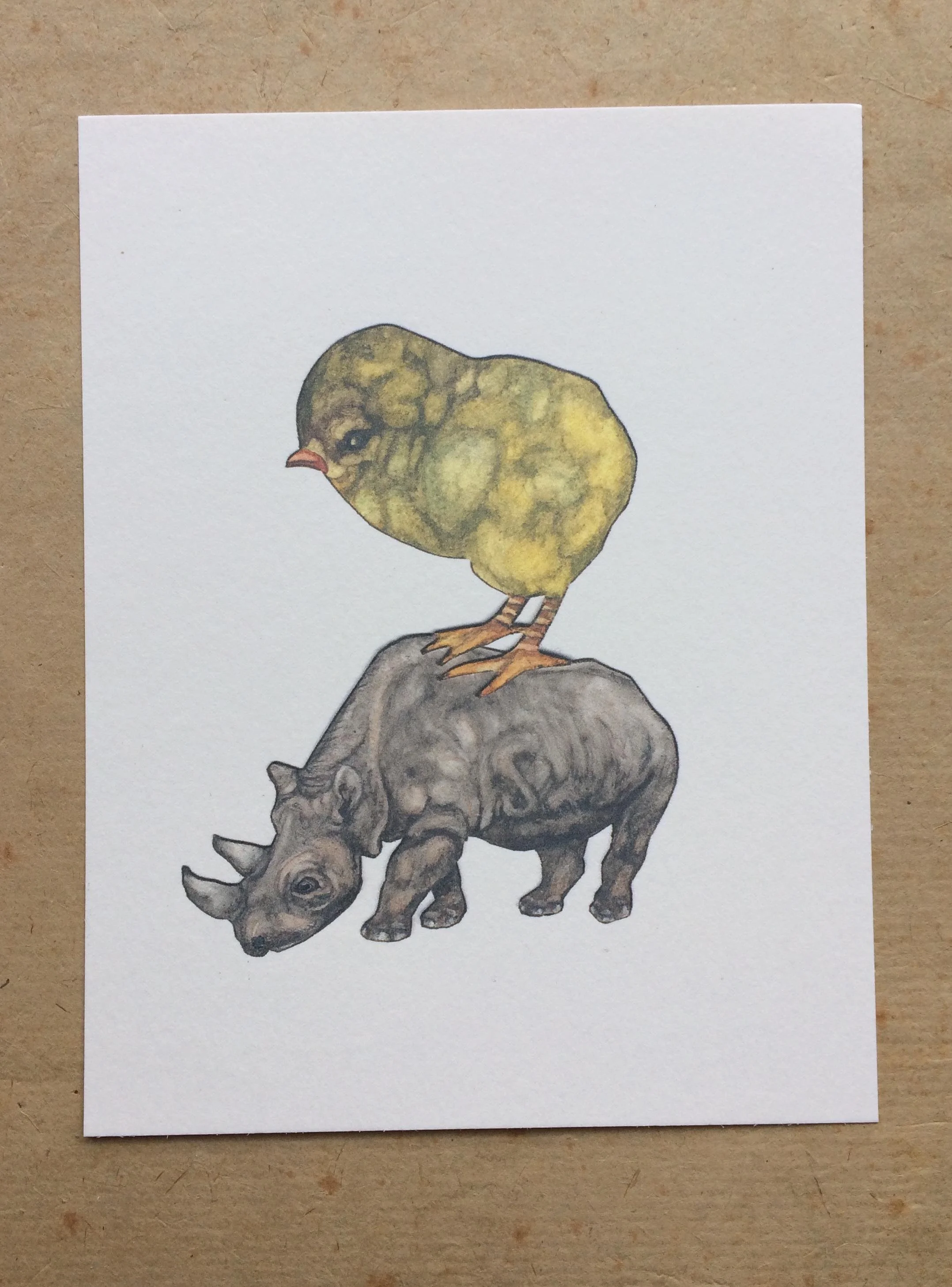 Chick&Rhino.jpg
