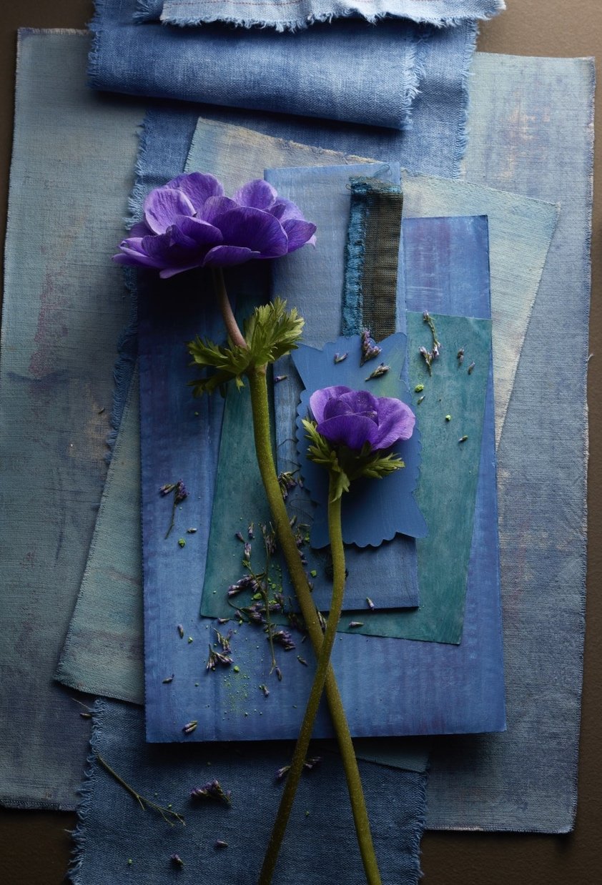 BluePurple.jpg