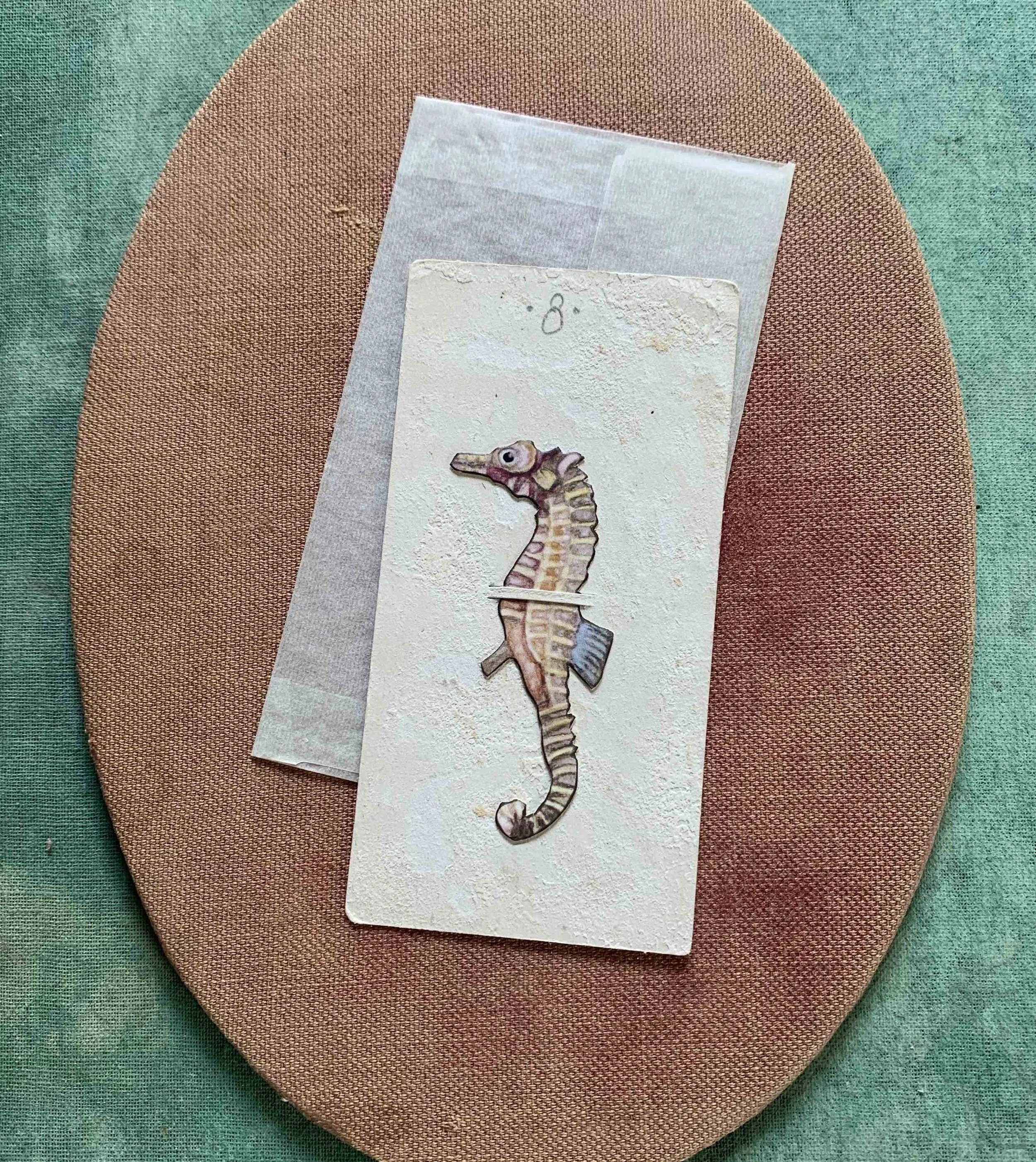 SeahorseCO_1.jpg