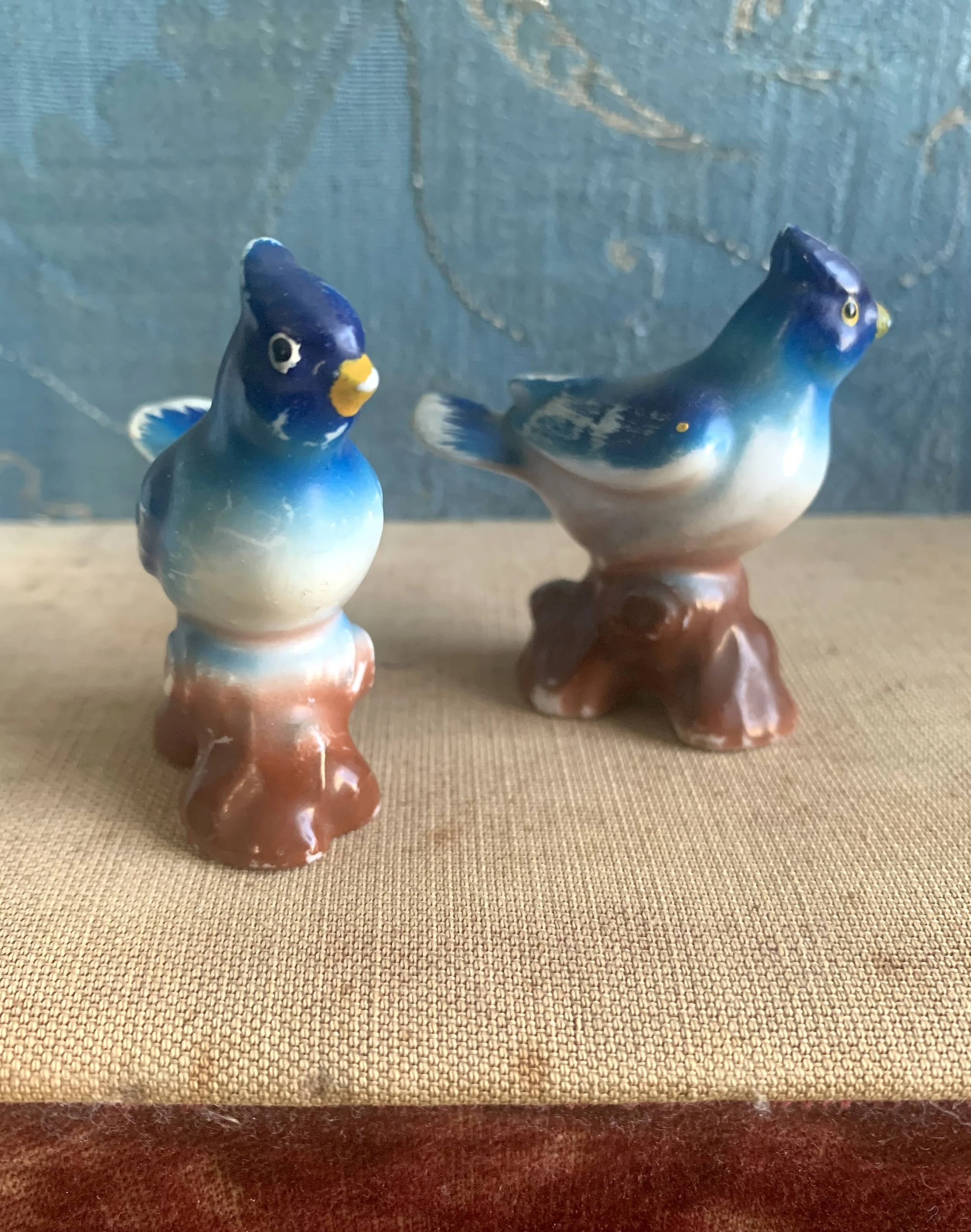 Bird1.jpg