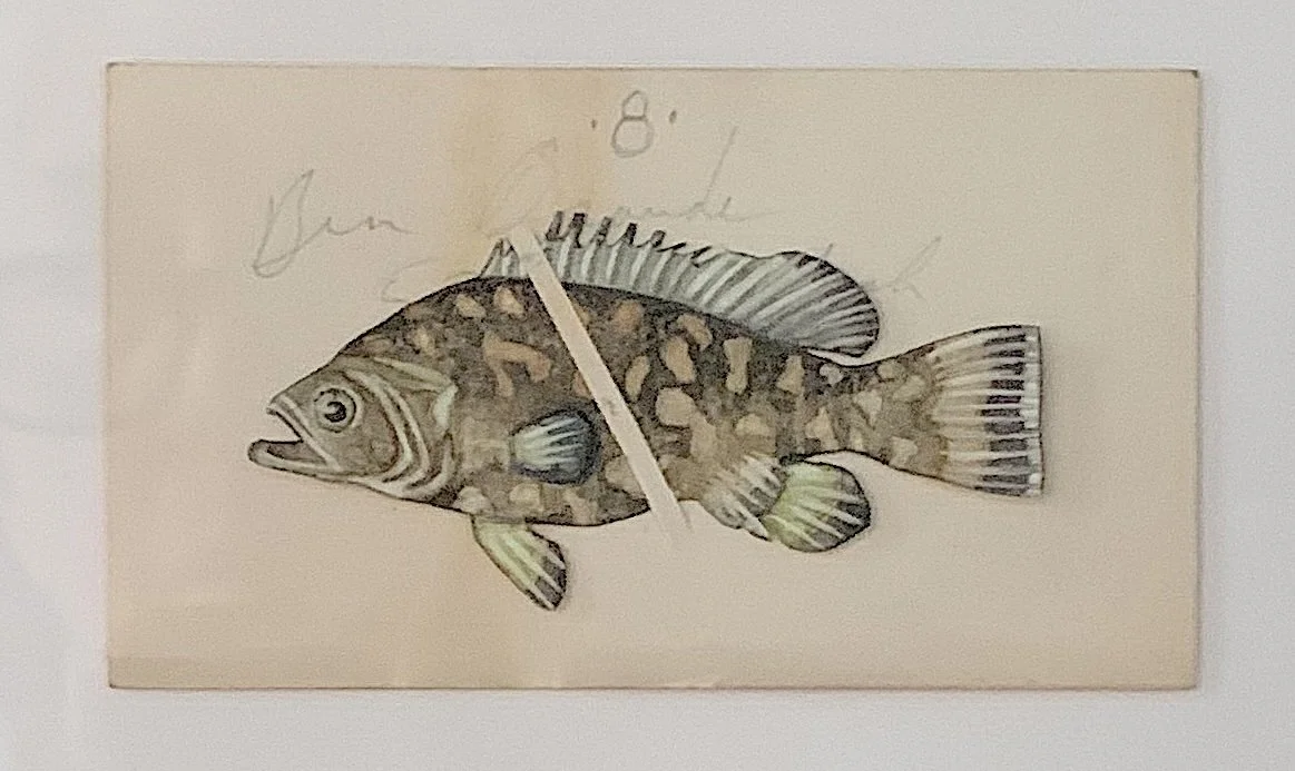 fish detail.jpg
