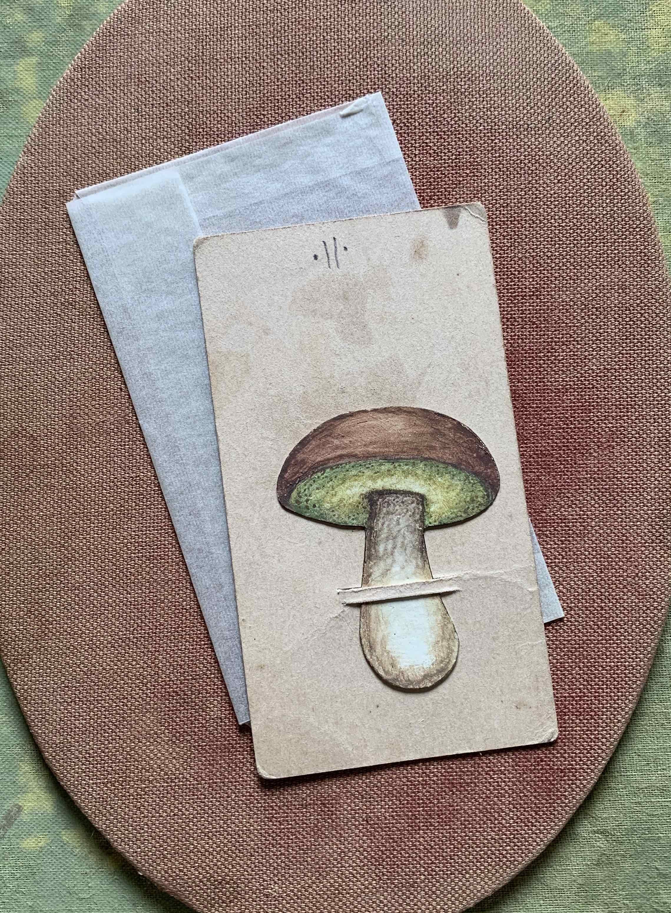Mushroom-1.jpg