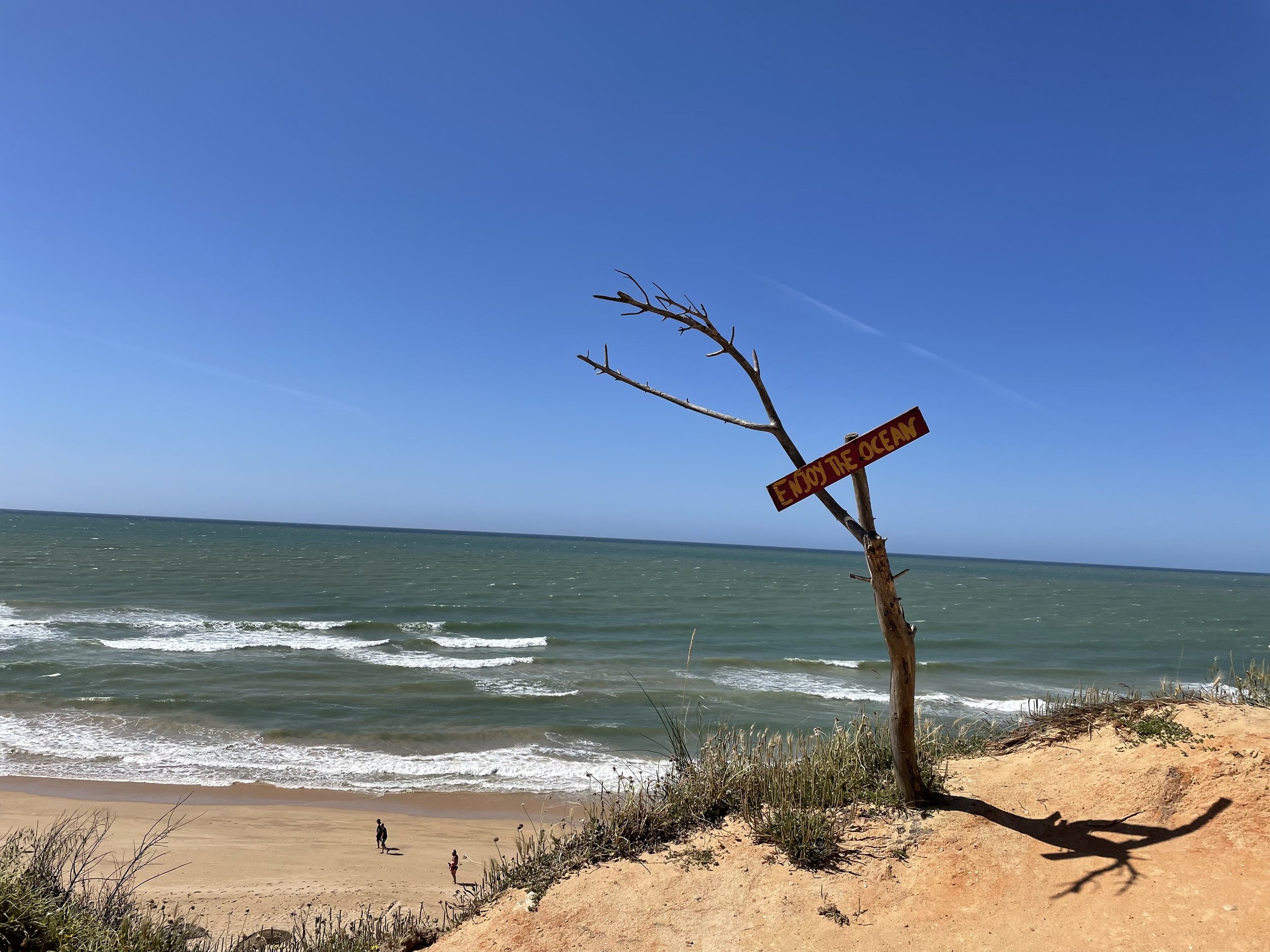 beach.jpg
