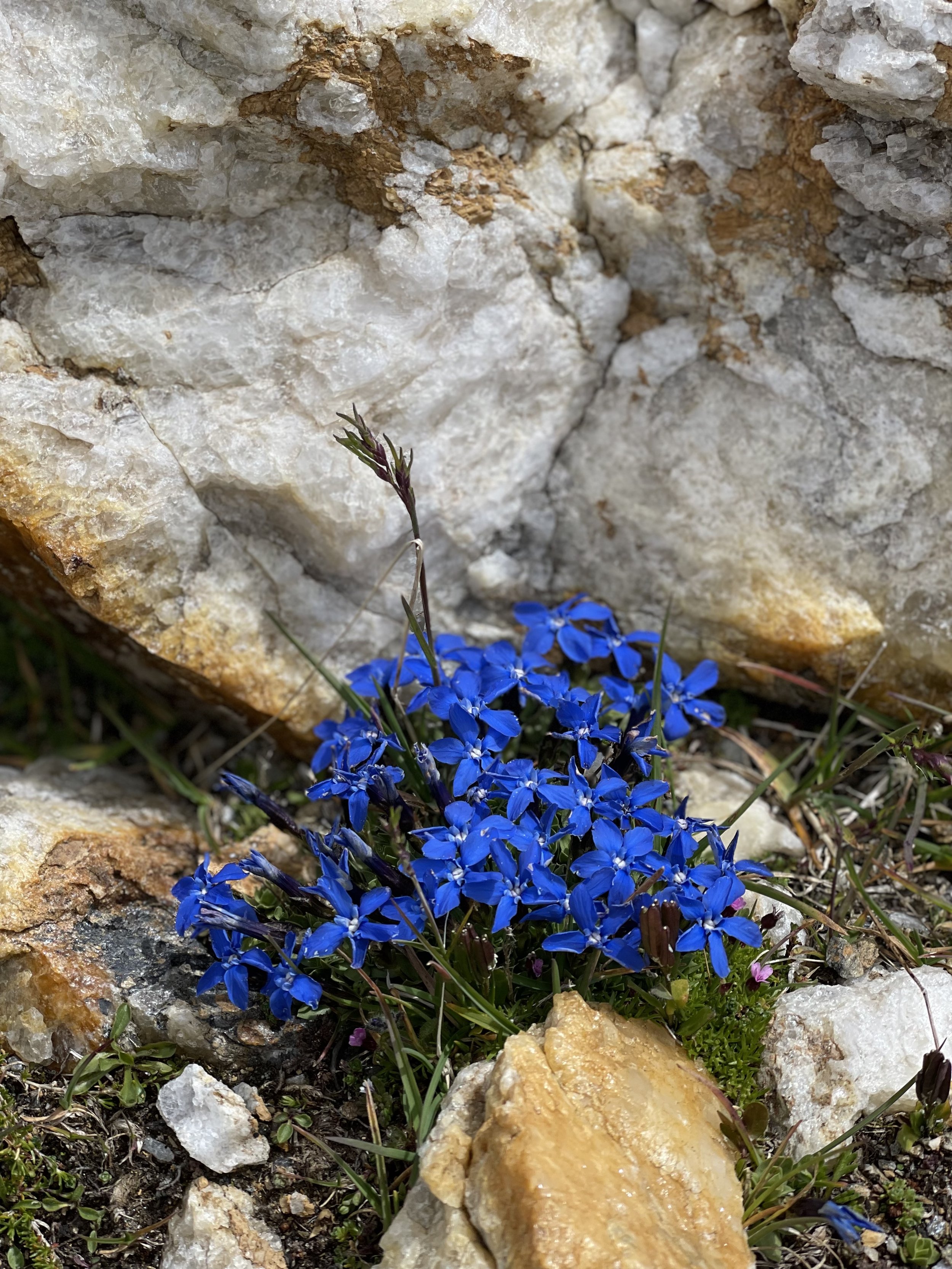 Mountain Bliss Retreat – So, 26. - Fr, 31. Juli 2026