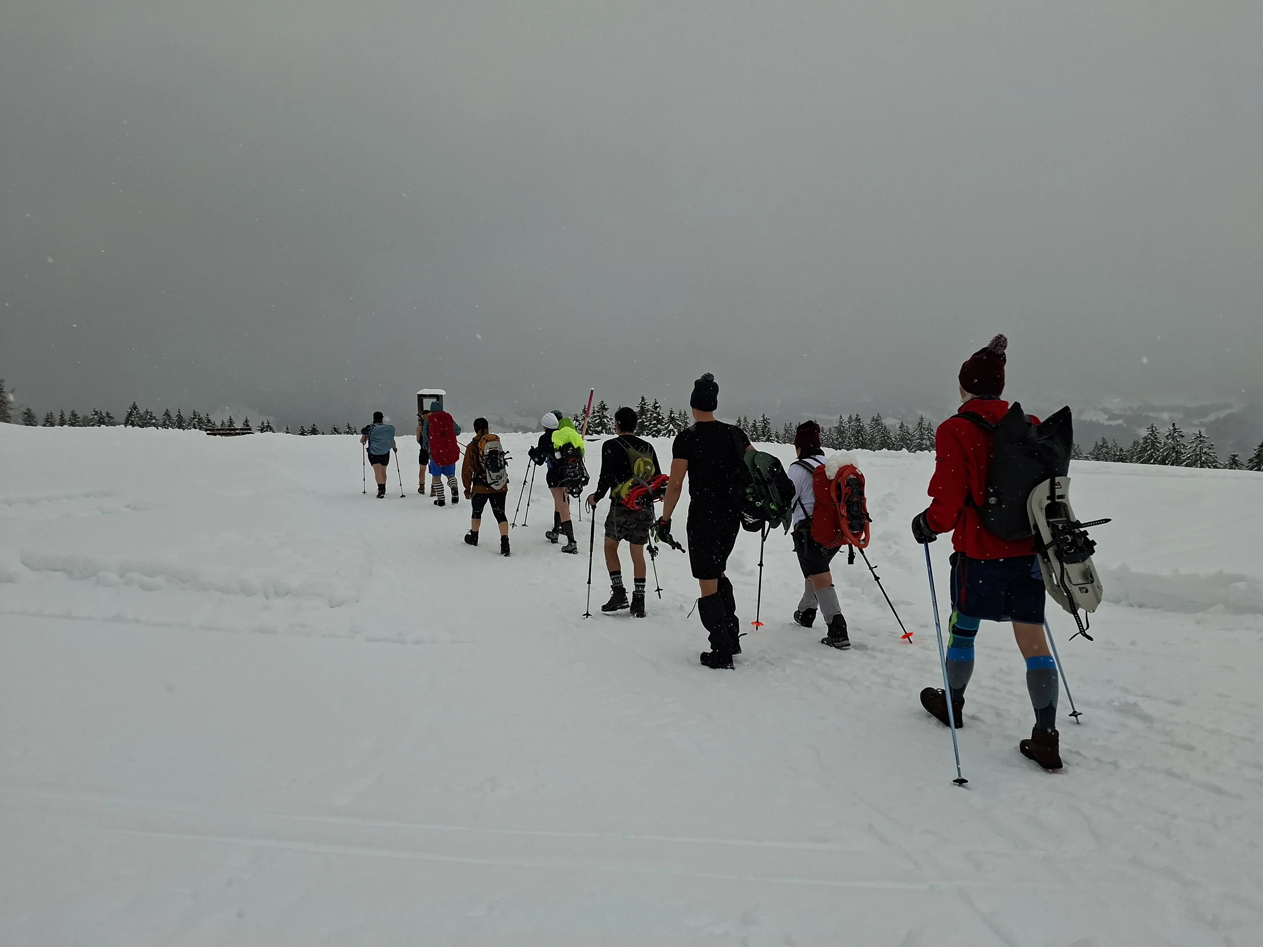 Pulse of the Cold – Kälte-Retreat – Fr, 12. - So, 14. Feb. 2027
