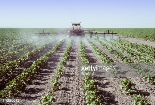 Cotton Harvester