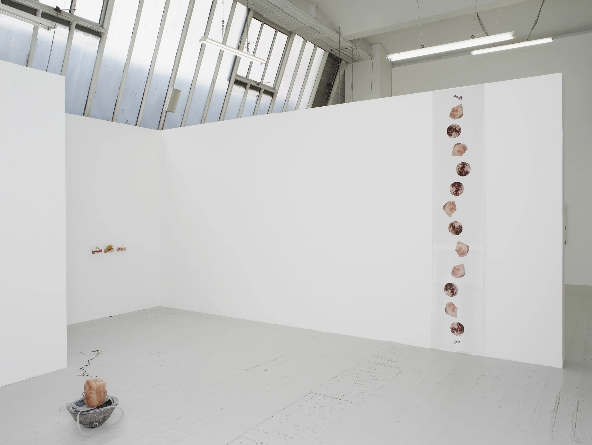  Installation view  Above Below, Solve et Coagula, Holistic Hearing, Healing Tension, Slow Soak  (clockwise)  (Photo by Andy Keate) 
