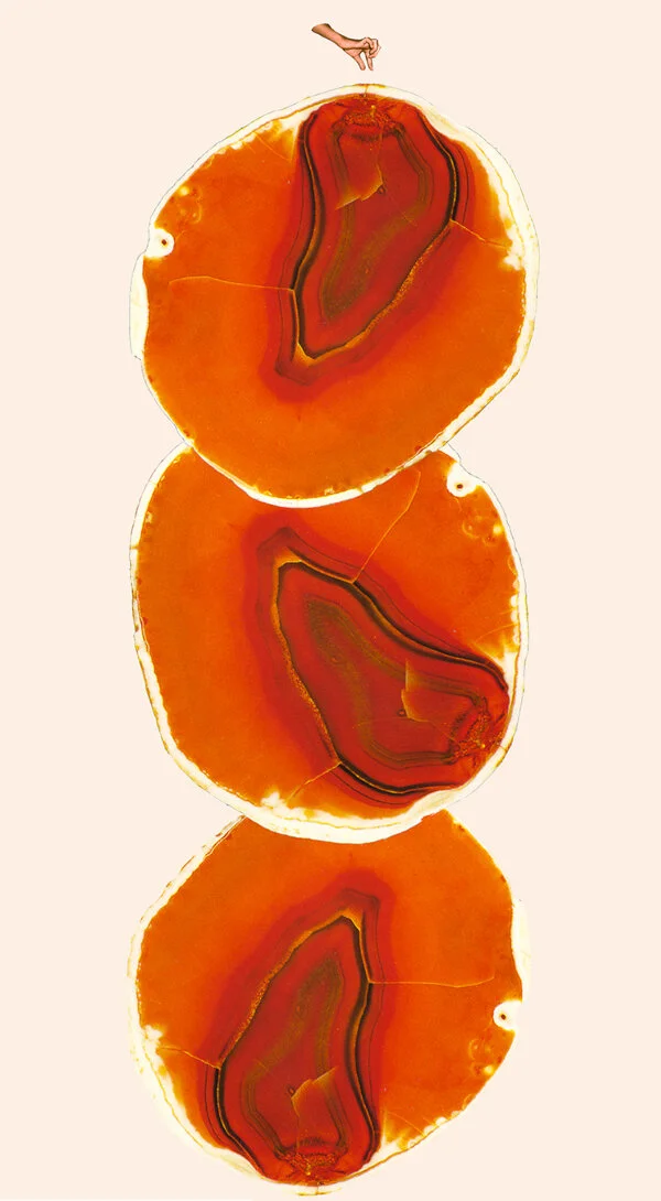 small_3_seeds.jpg