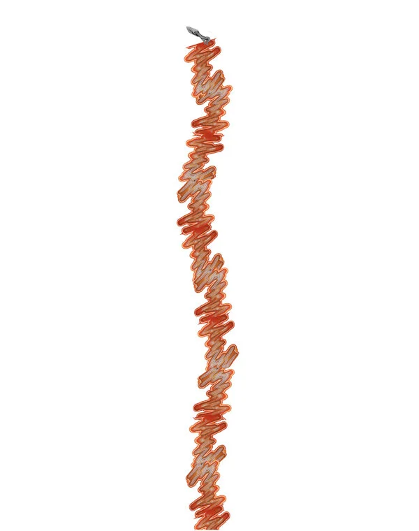 small_ziggzaggTime.jpg