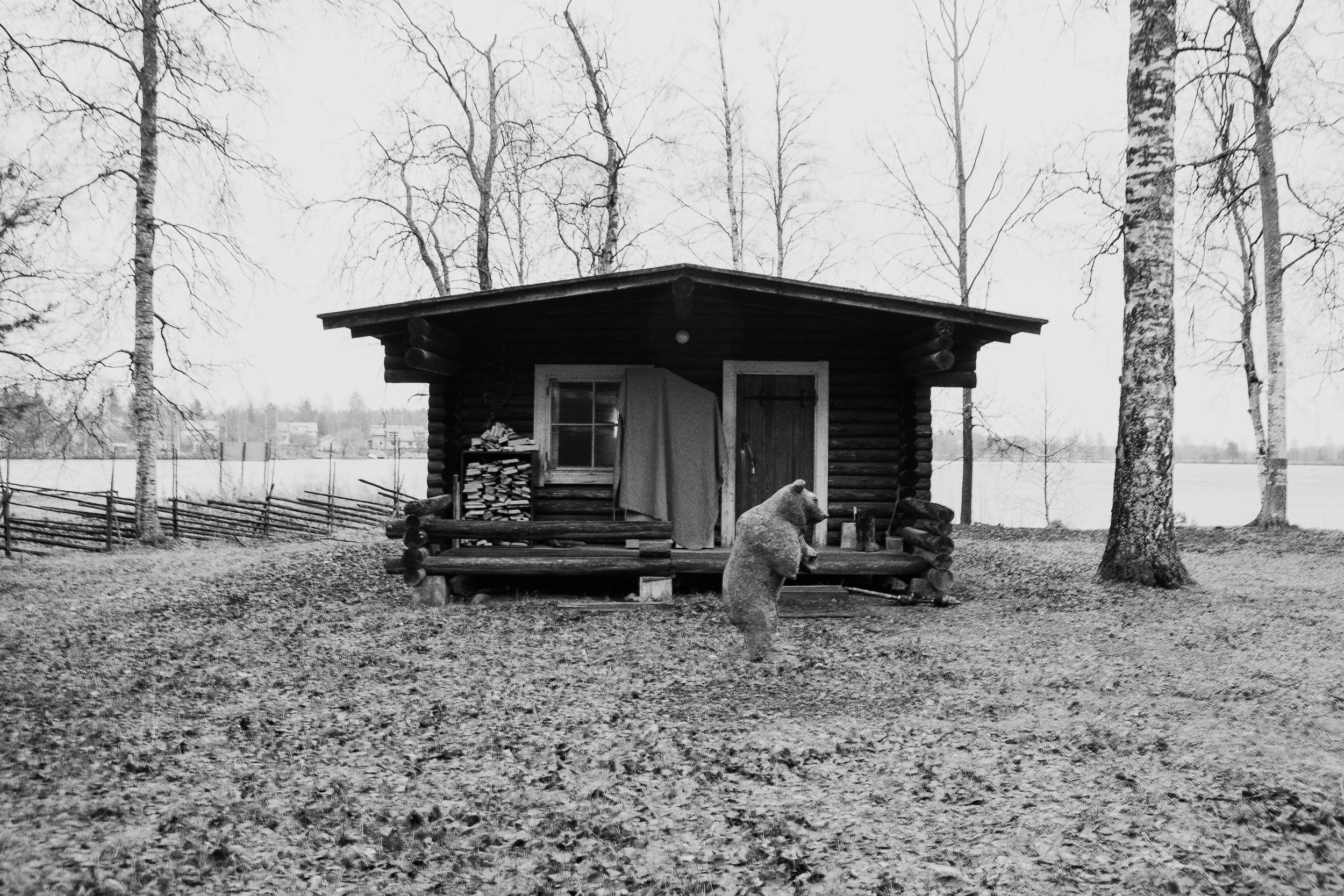 Bear and sauna. Two essentials. Imatra 2011.