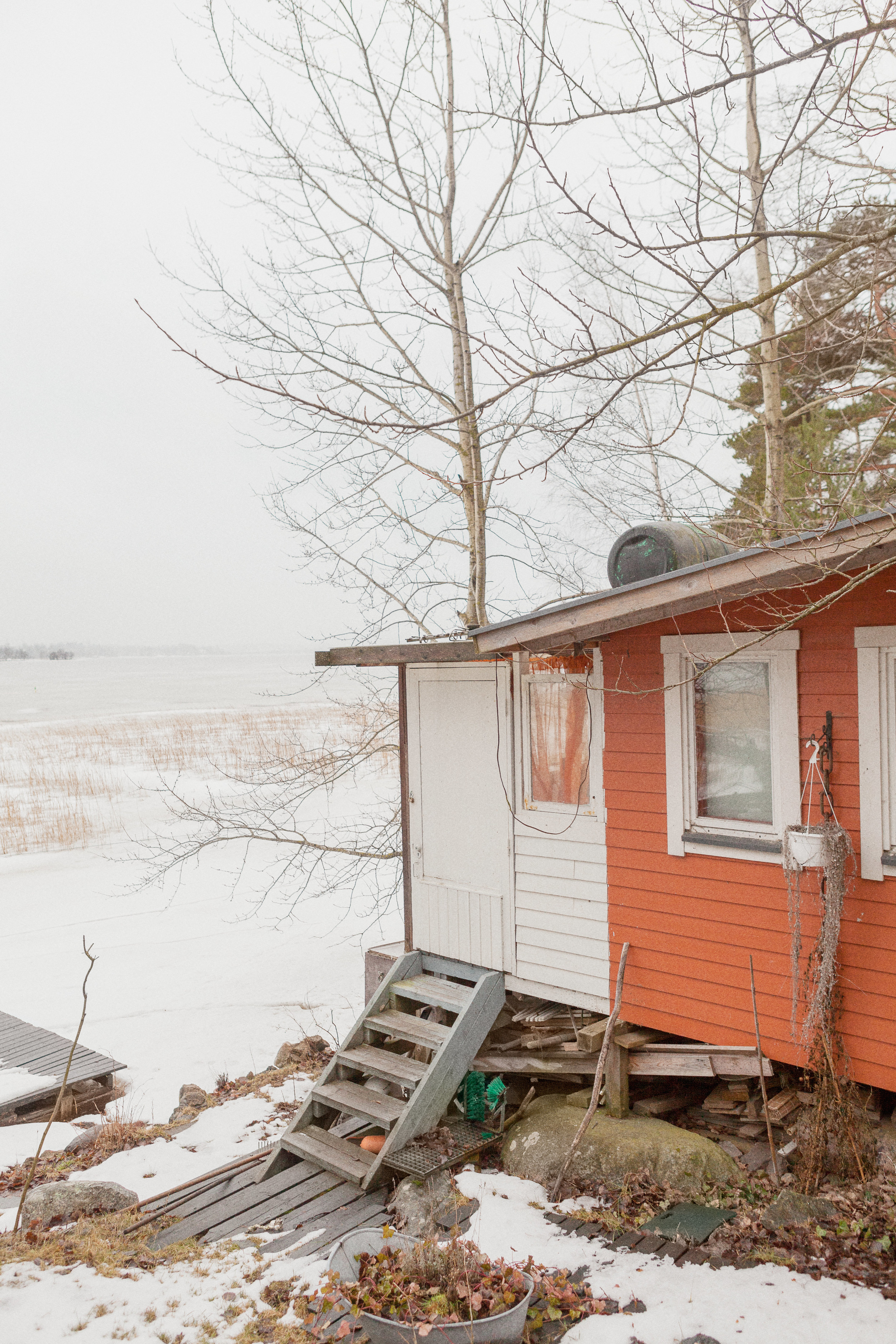 Lammassaari